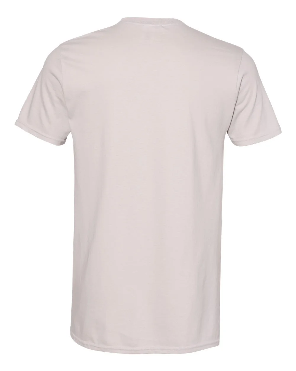 Gildan_64000_Ice_Grey_Back_High.jpg