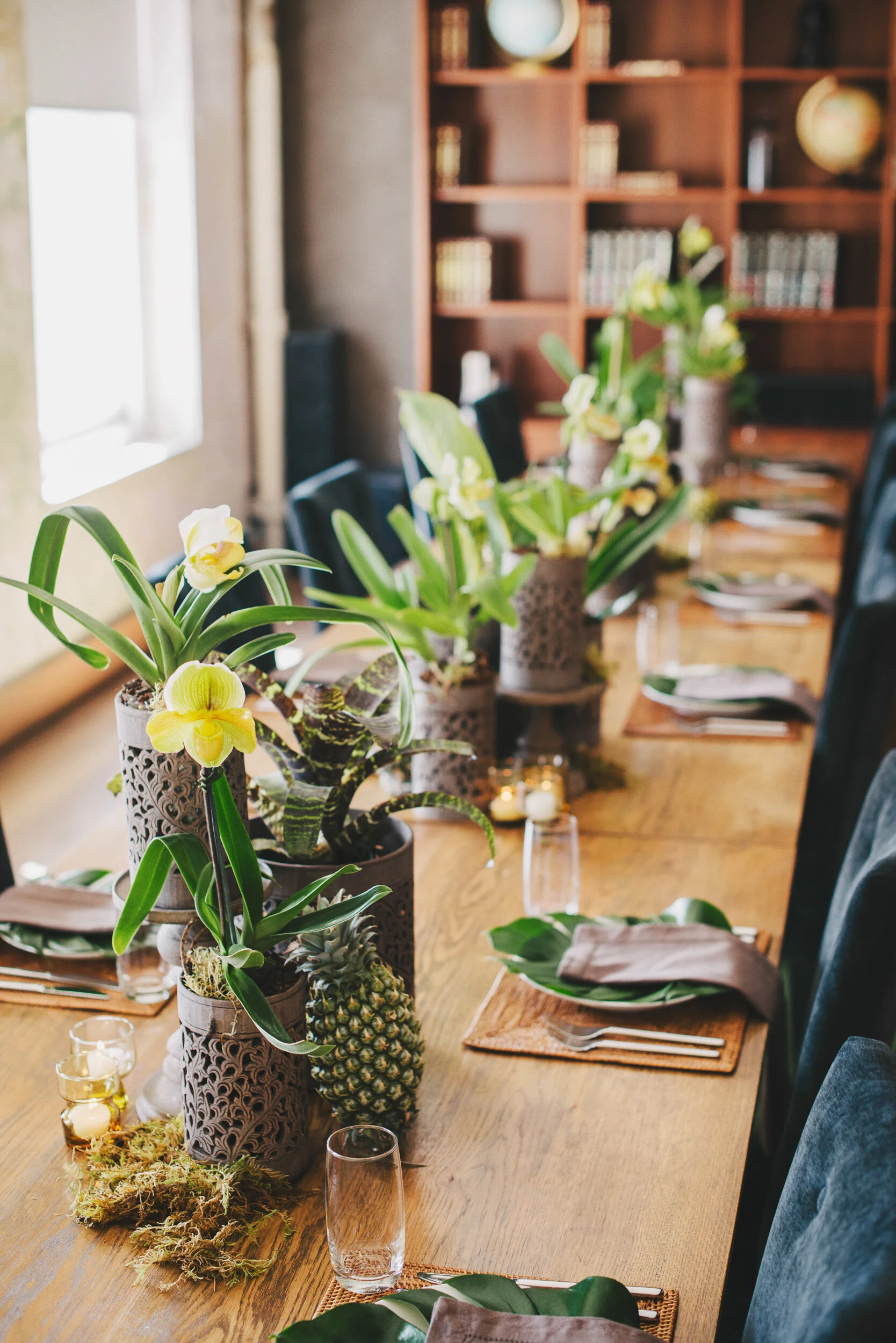 2013 GENERATOR-13.jpg