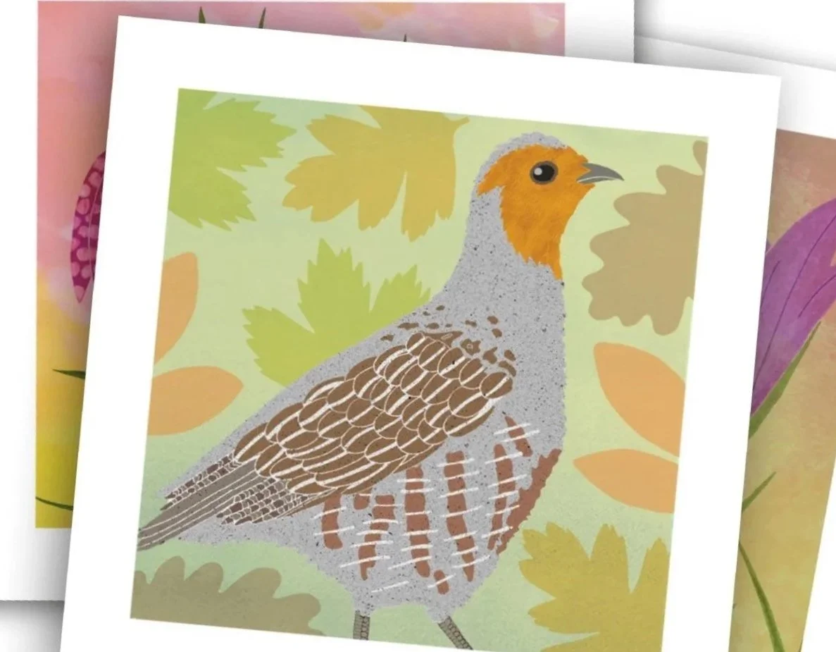 Greeting Cards