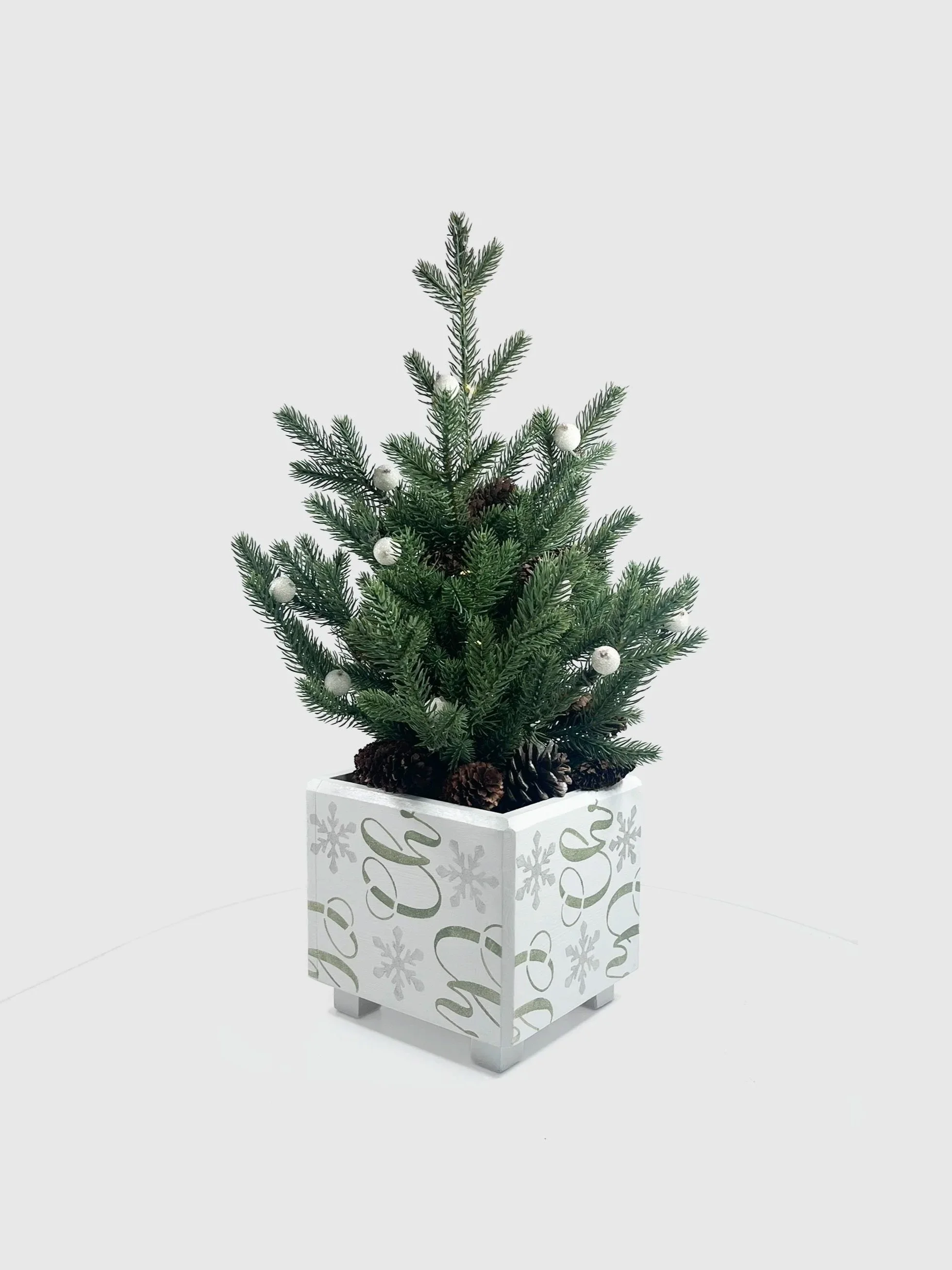 Xmas+Planter+Website+New+.jpg