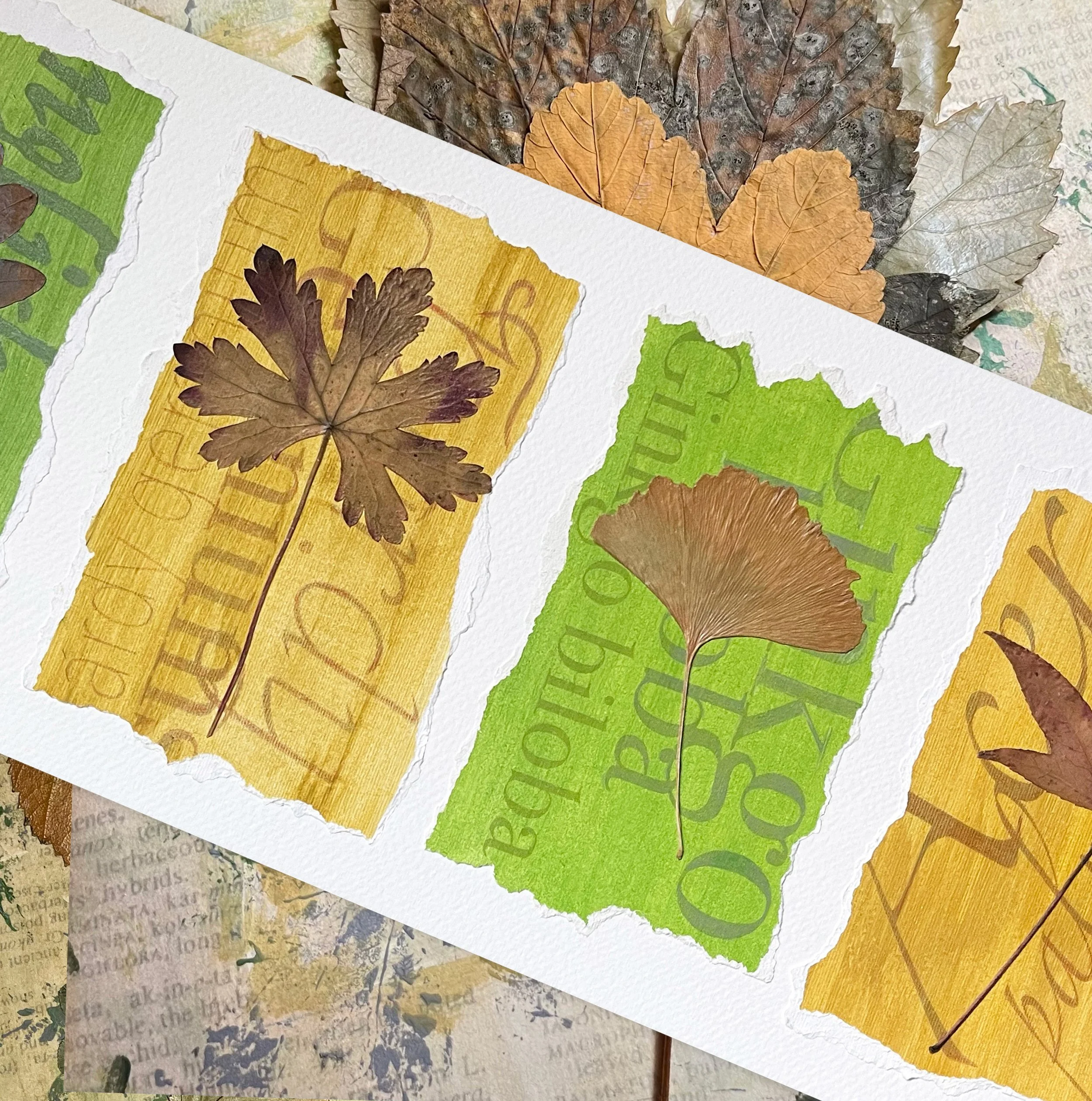 Unframed Originals