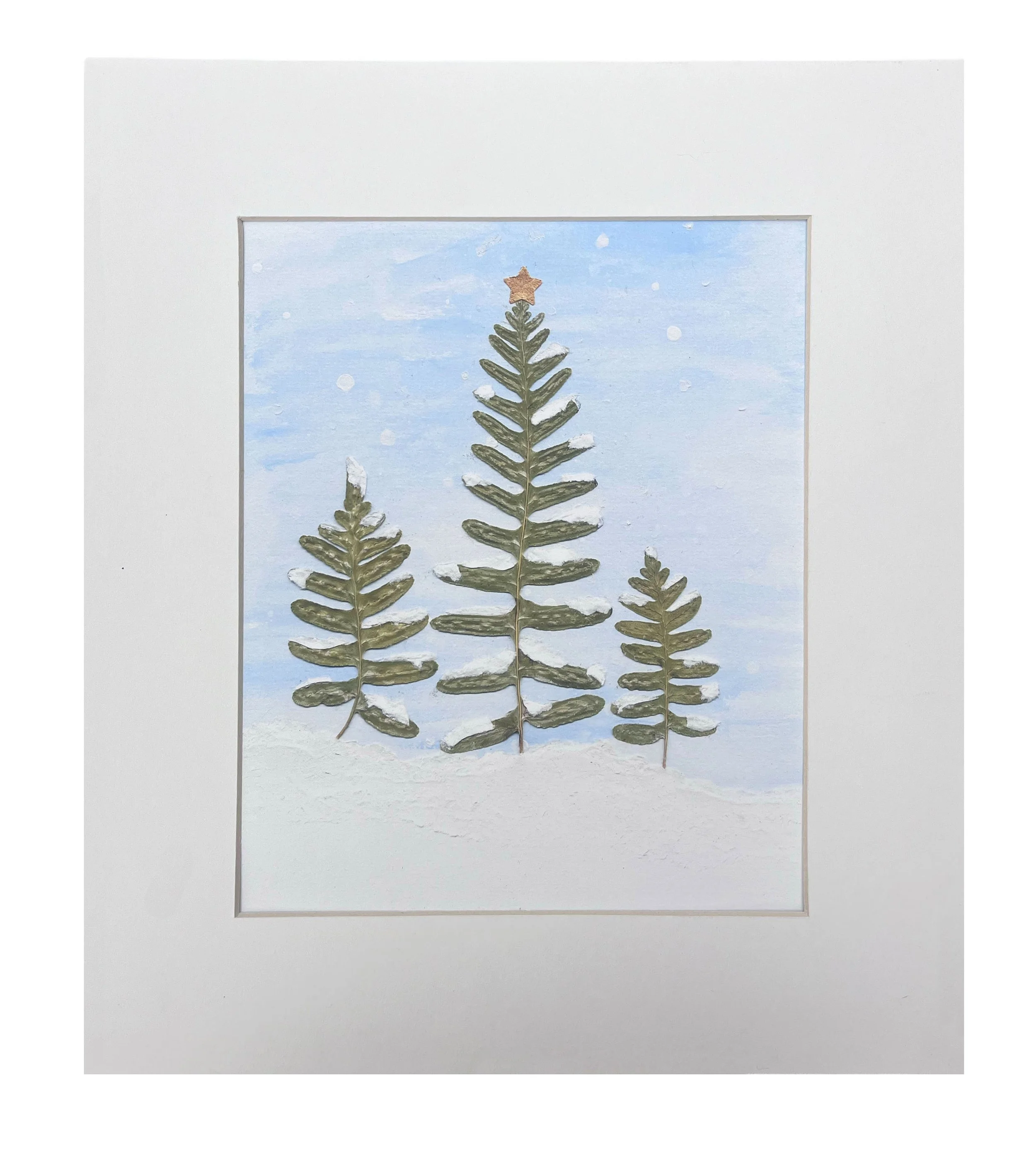Christmas Tree Fern Giclée Print