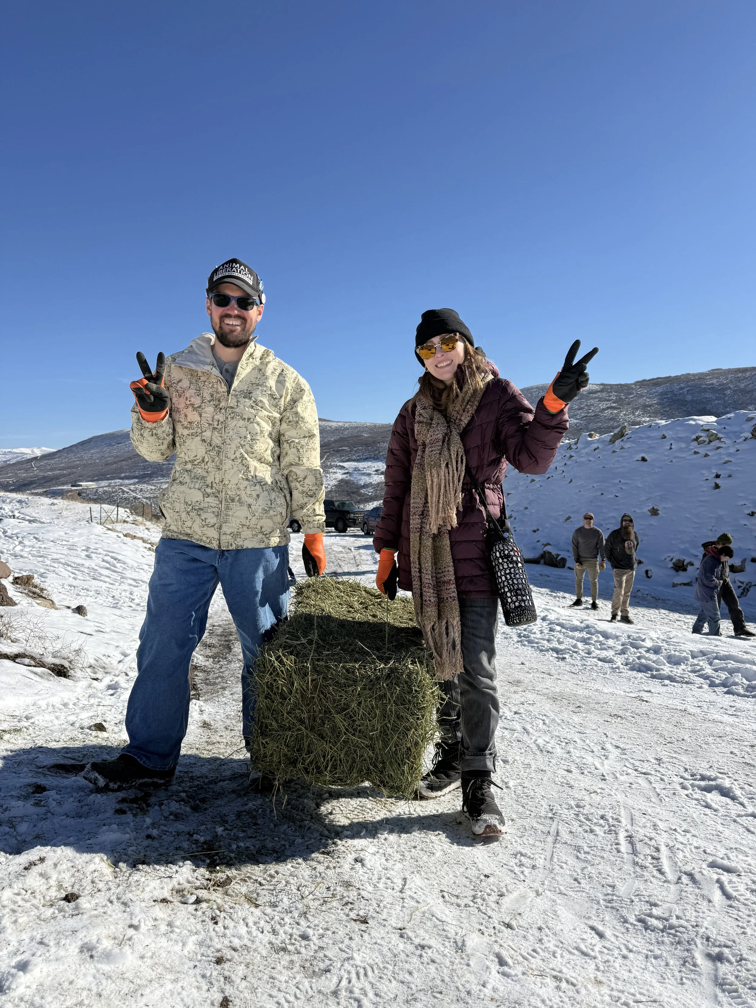 Hay Delivery Volunteer Day