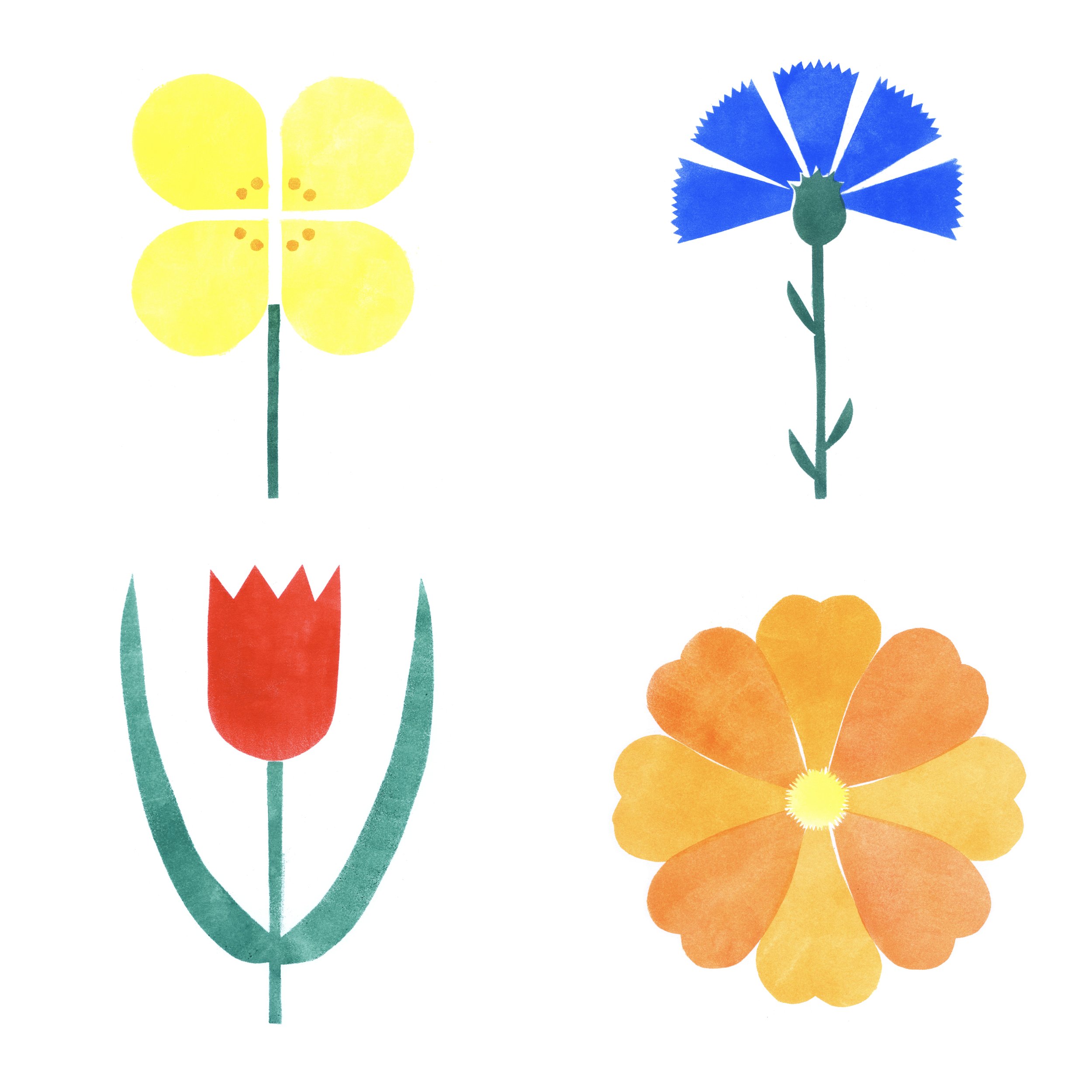 GardenStills_10x10_3.jpg