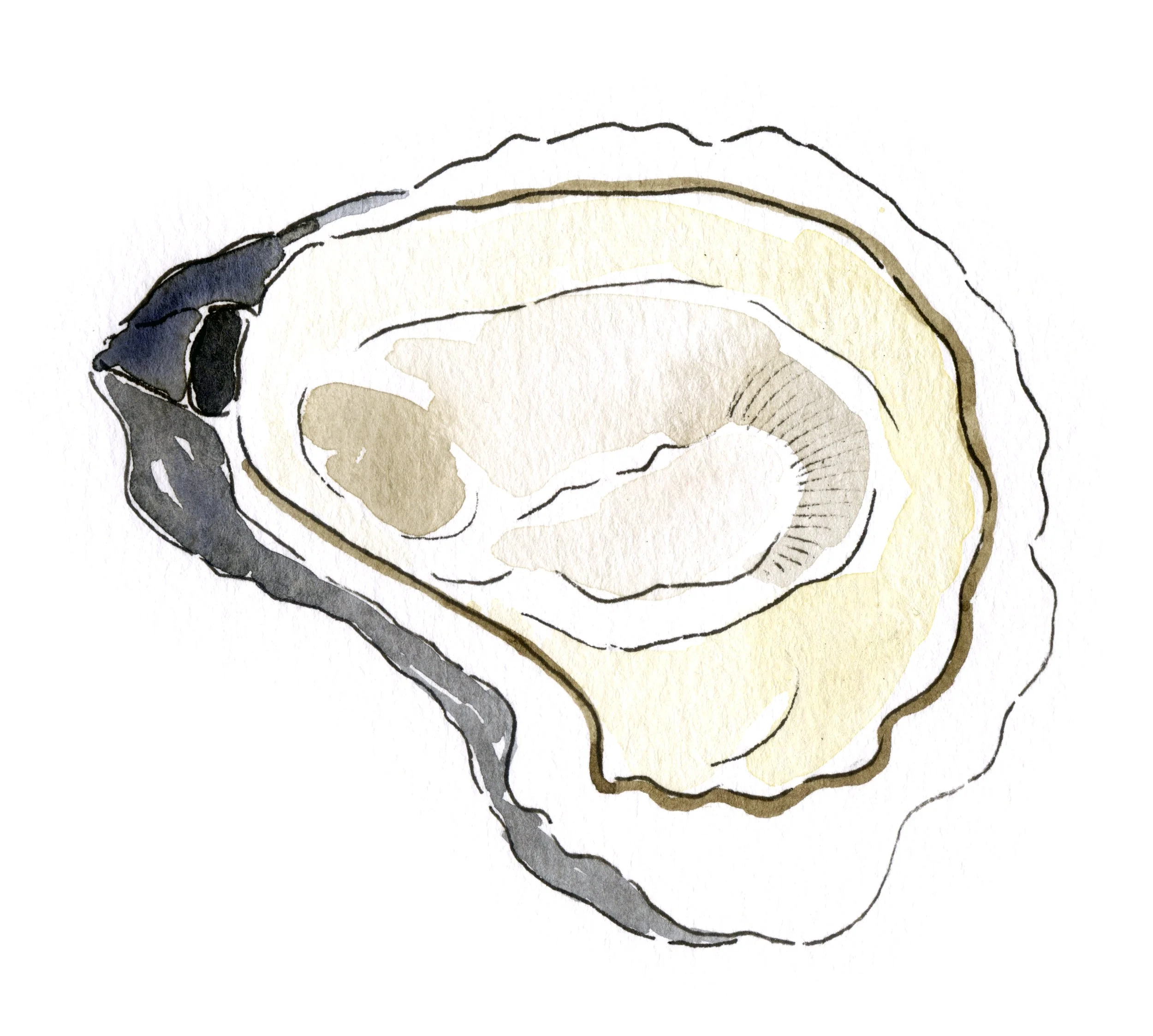 StingyAlley-Oyster.jpg