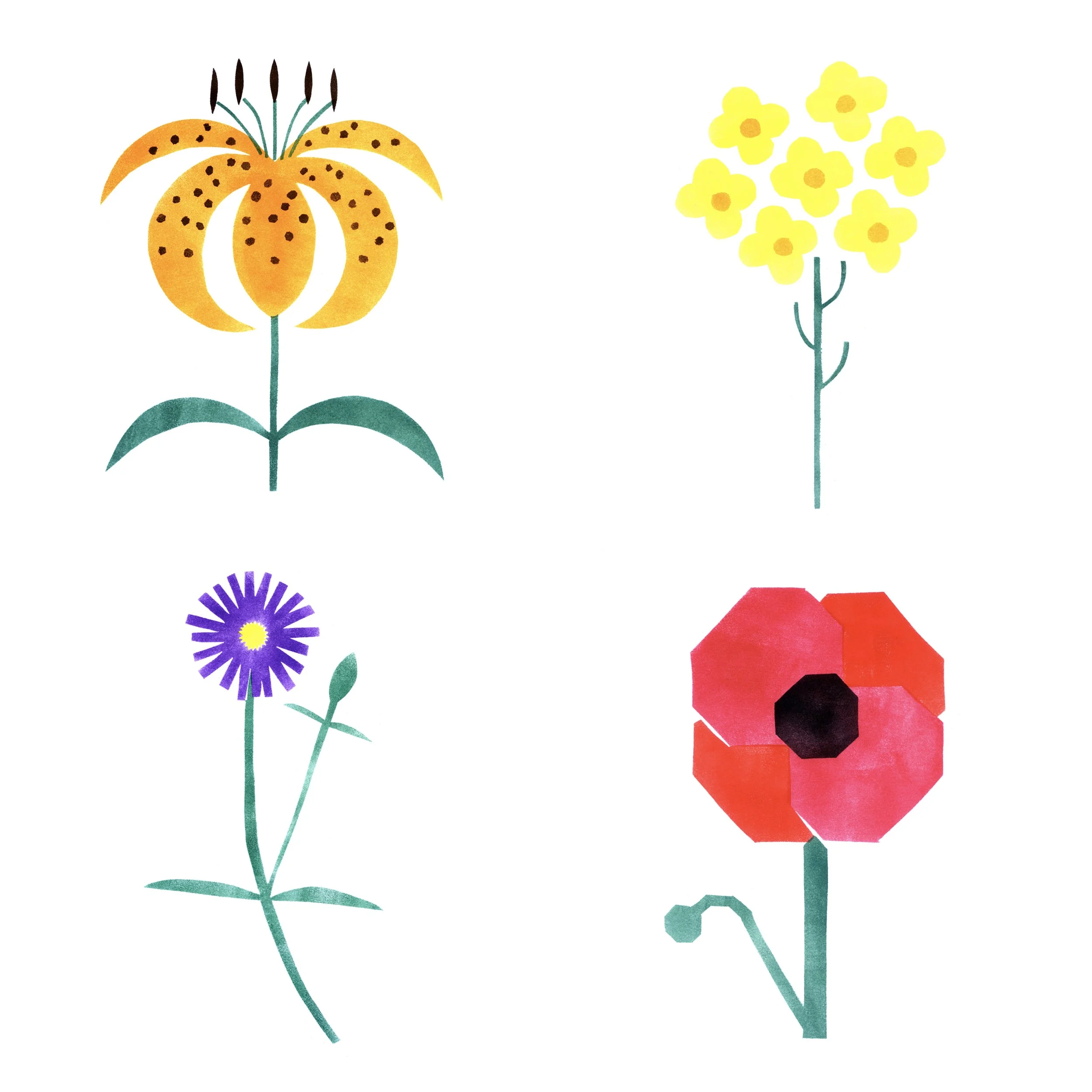 GardenStills_10x10_2.jpg