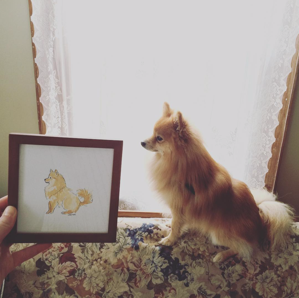 Screen Shot 2020-02-18 at 10.29.06 AM.png