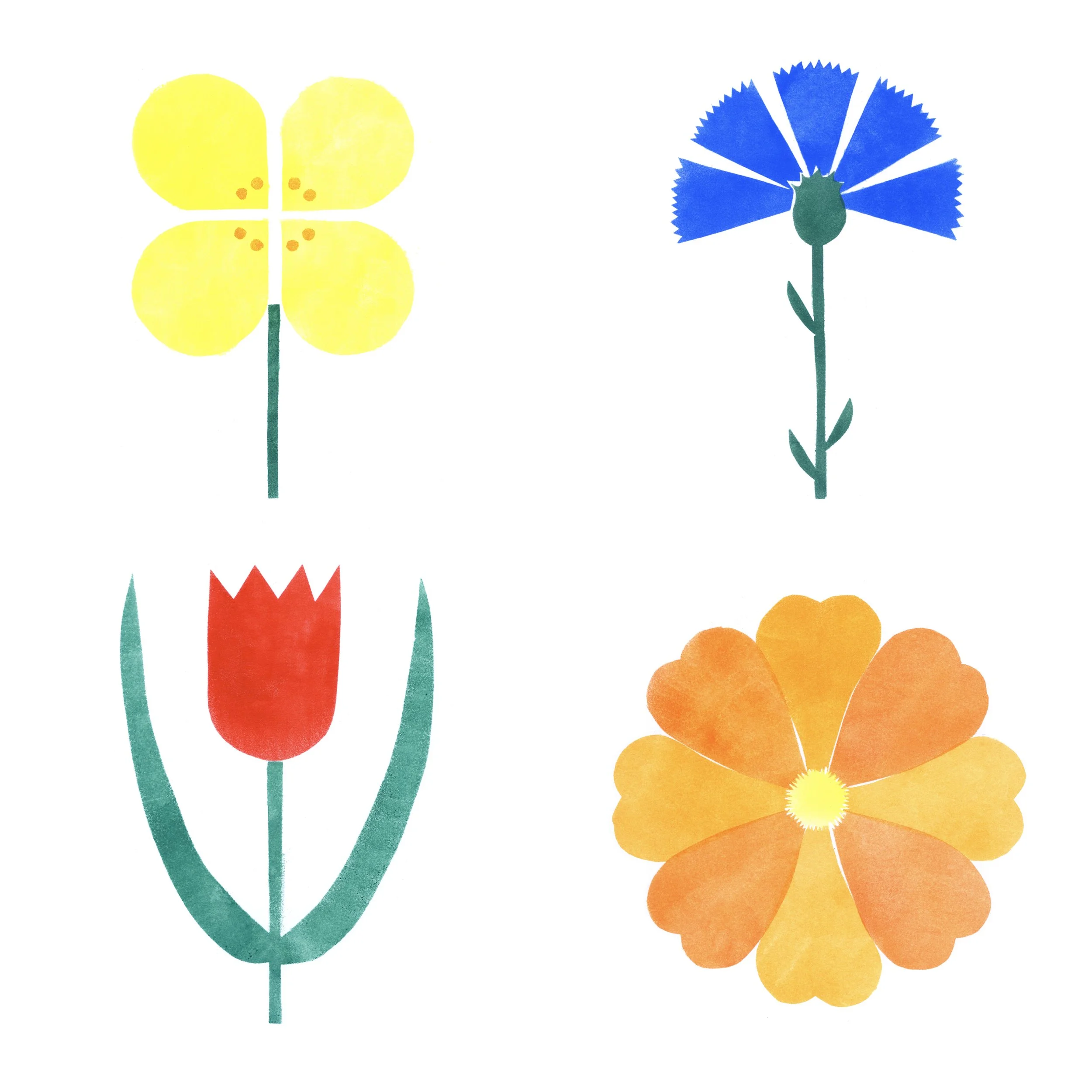 GardenStills_10x10_3.jpg