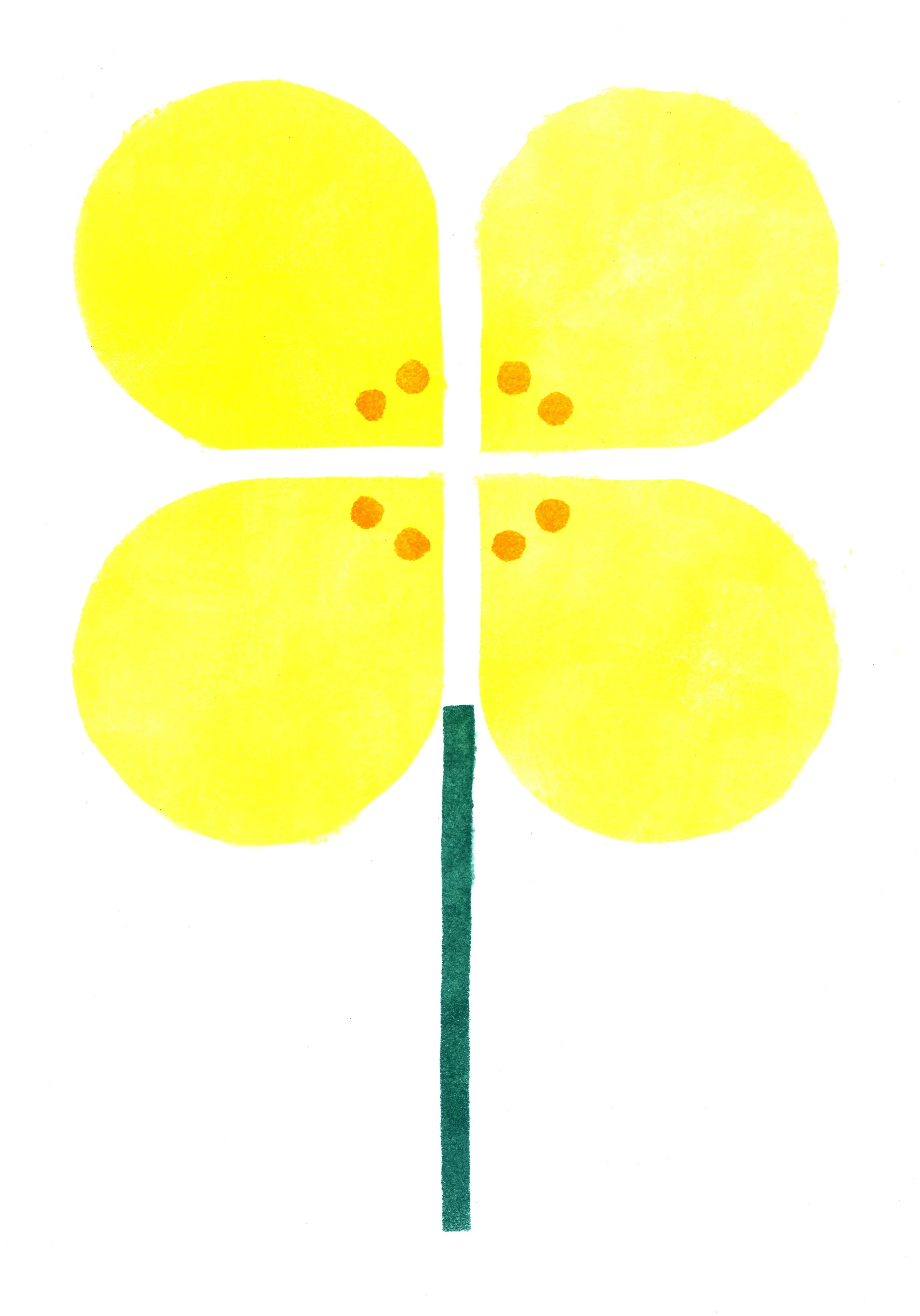 GardenStills 1.jpg