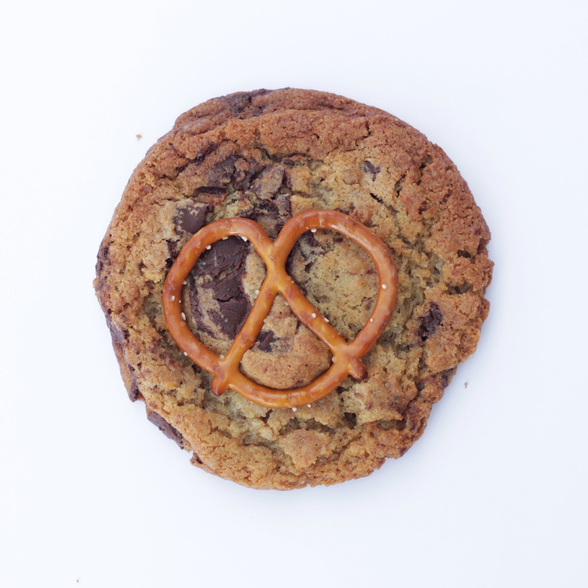 Ch. Pretzel.jpeg