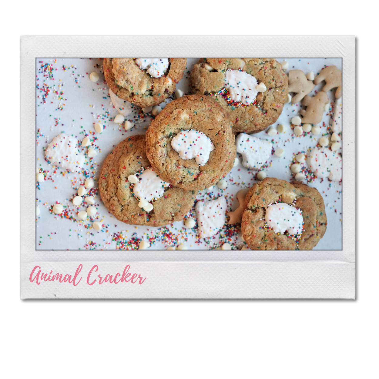 Animal Cracker Cookies - Past Custom Flavors - Cookie Box - Custom Cookies in Charlotte, NC