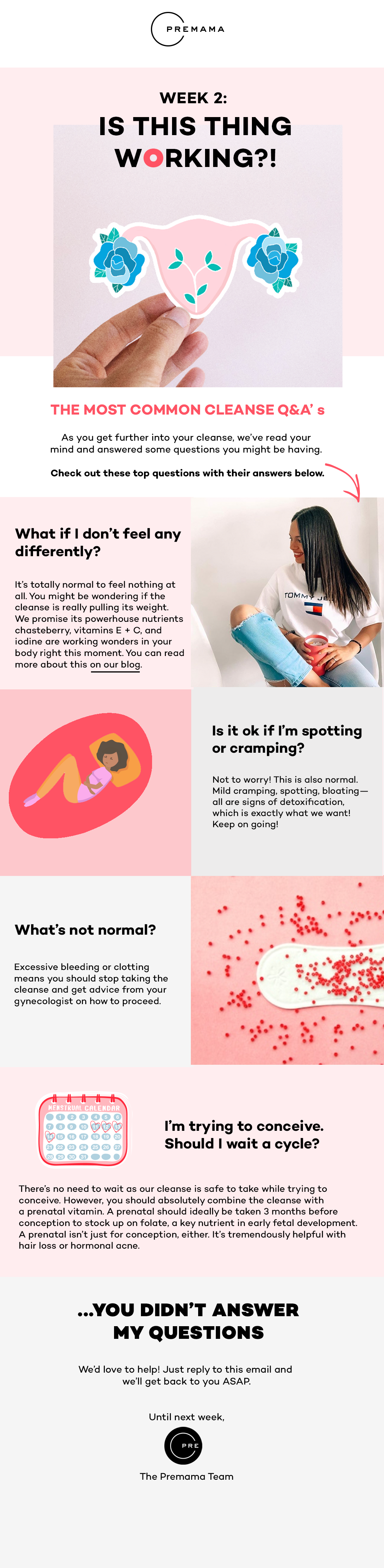 2-cleanse-email-14.png