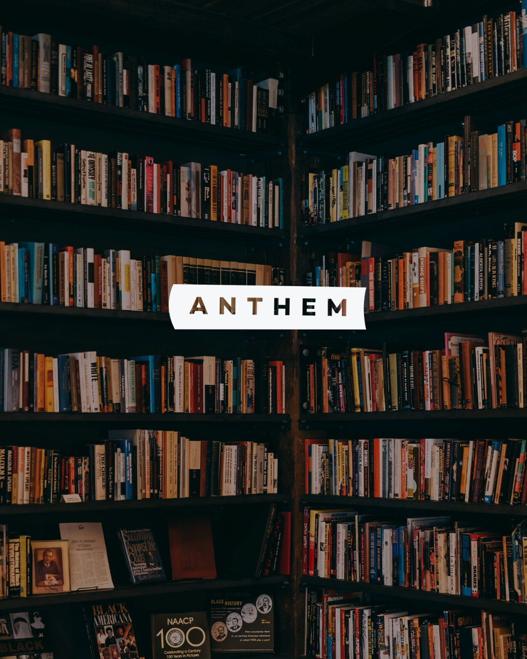 ANTHEM BOOKS  |  NJ Book Shop
