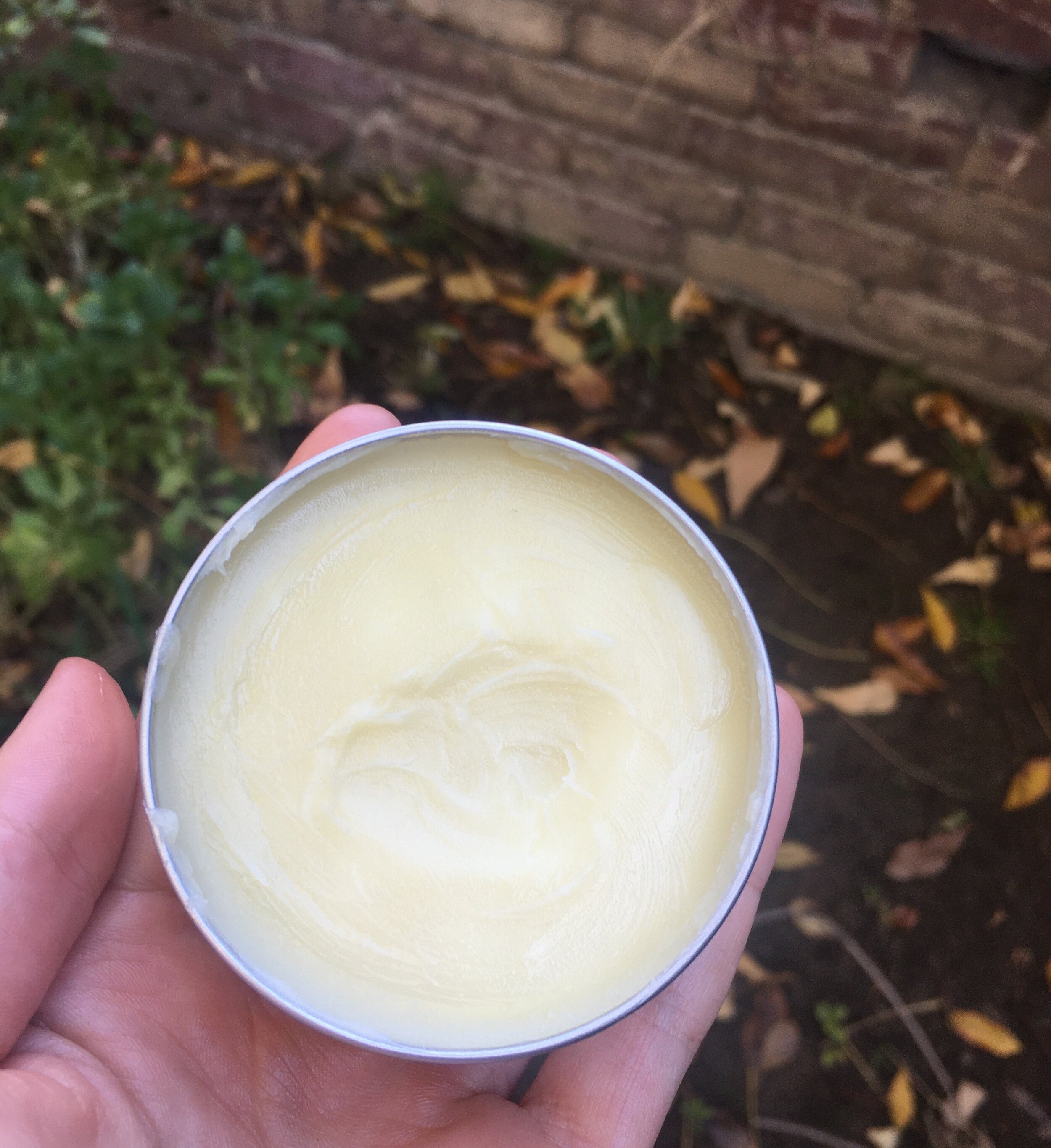 InsideBalm2.jpeg