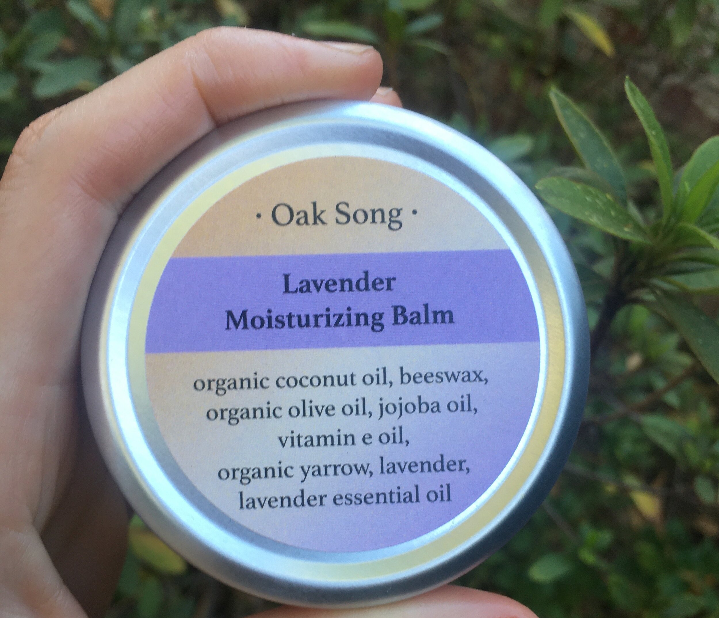 Lavender.jpeg