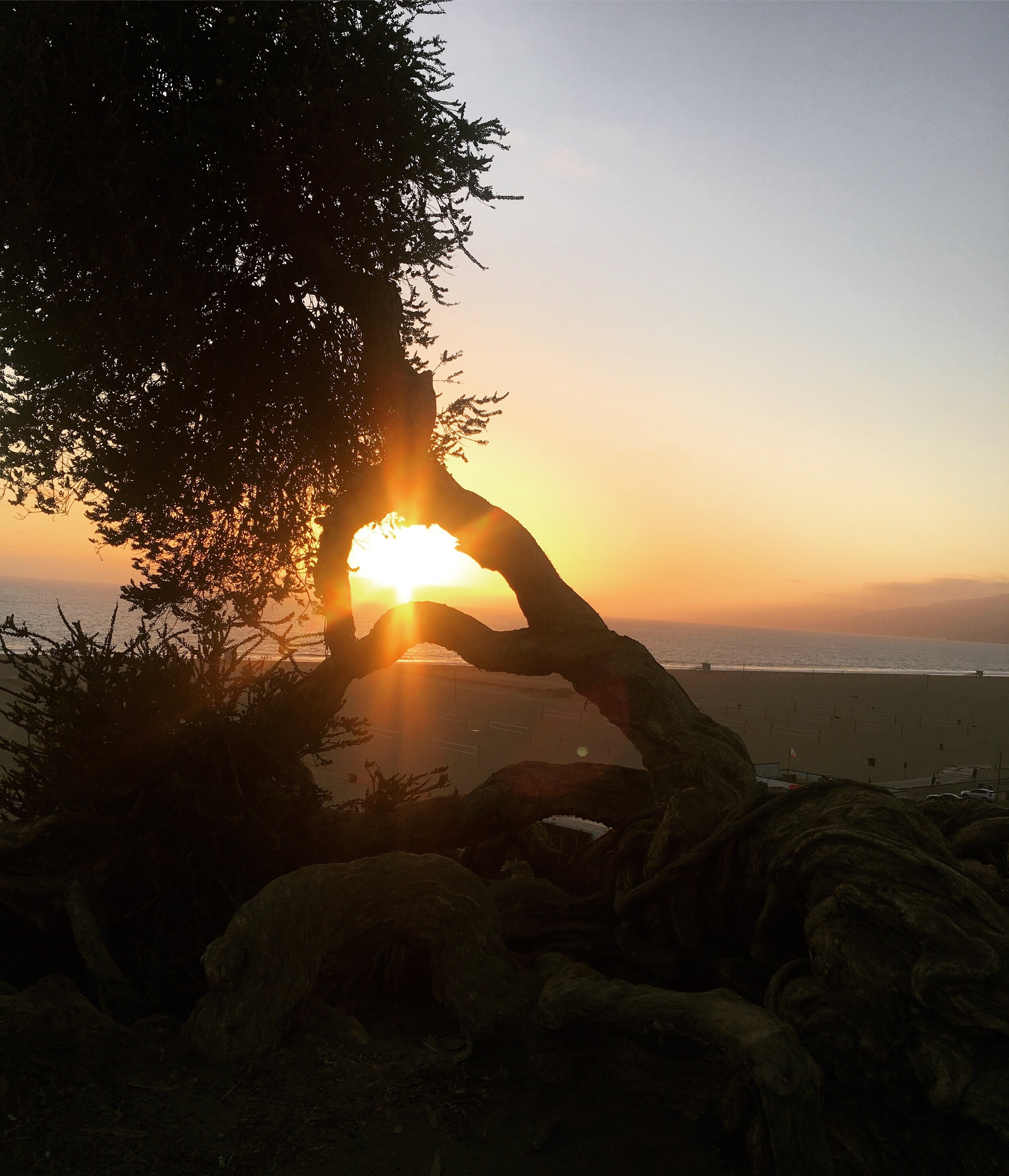 IMG_0083.jpeg