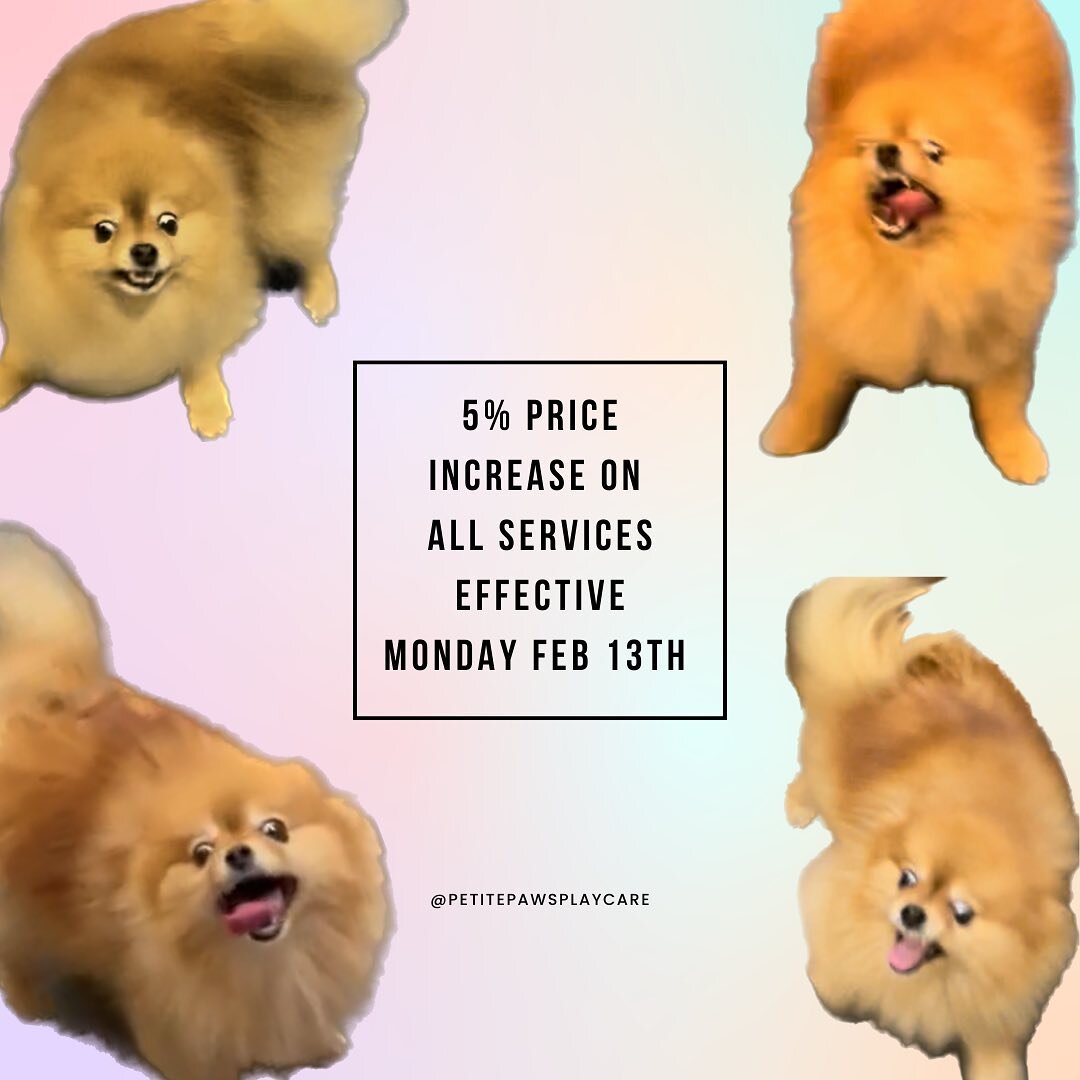 Chicha is losing it because the cost of living in Vancouver is wild! 

During these challenging times, like everyone the cost of our base expenses has substantially risen. While we have made every effort to avoid any price increases, unfortunately it
