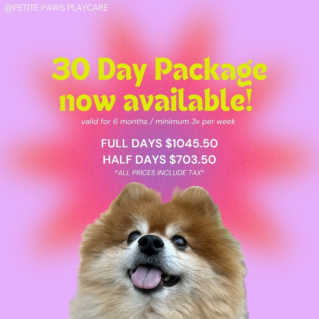 ✨30 Day prepaid passes now available for purchase!✨