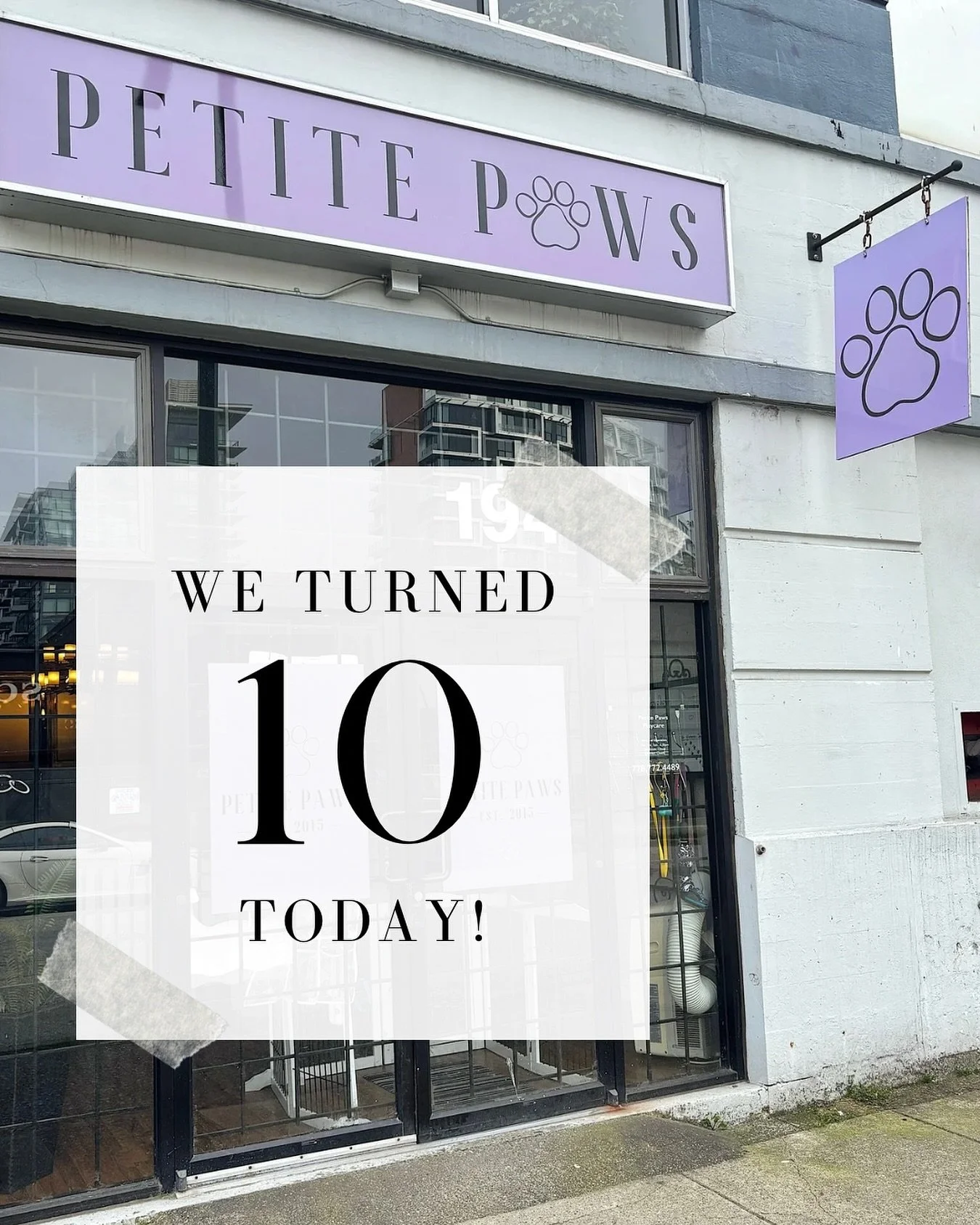 🌟🐾 Time flies when you&rsquo;re surrounded by the best little pups in Vancouver! We&rsquo;re celebrating 10 years of fur-ever friendships, wagging tails, and countless memories. We couldn&rsquo;t have done it without your support. Thank you for tru