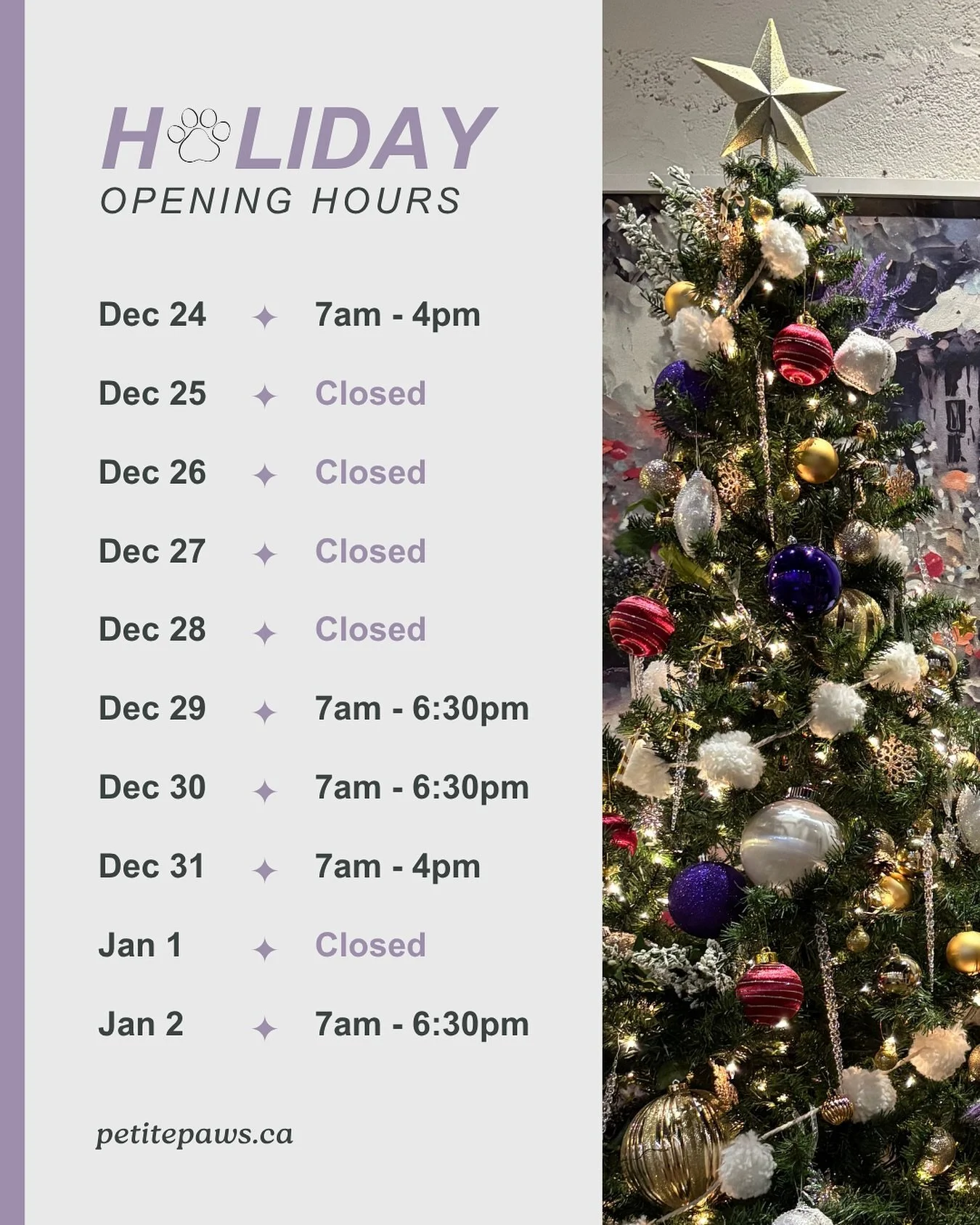 If your dog enjoys a standing booking, we kindly ask that you text or email us regarding any planned holiday absences or adjustments to their schedule.