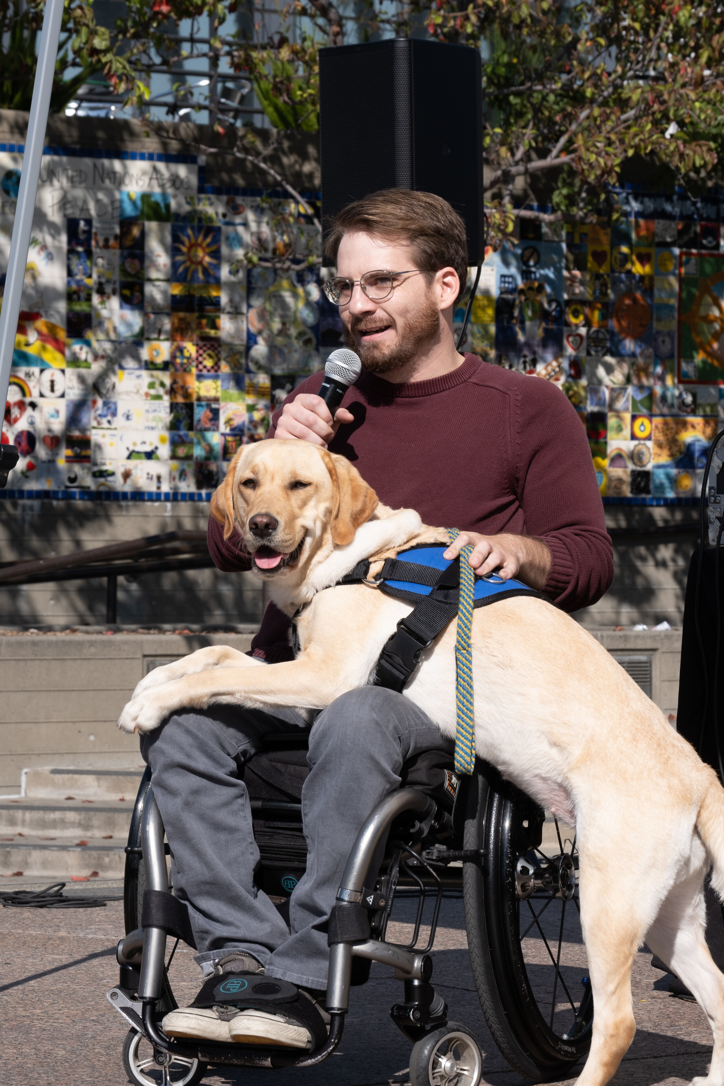 DogFest2019-193-34719 (1).jpg