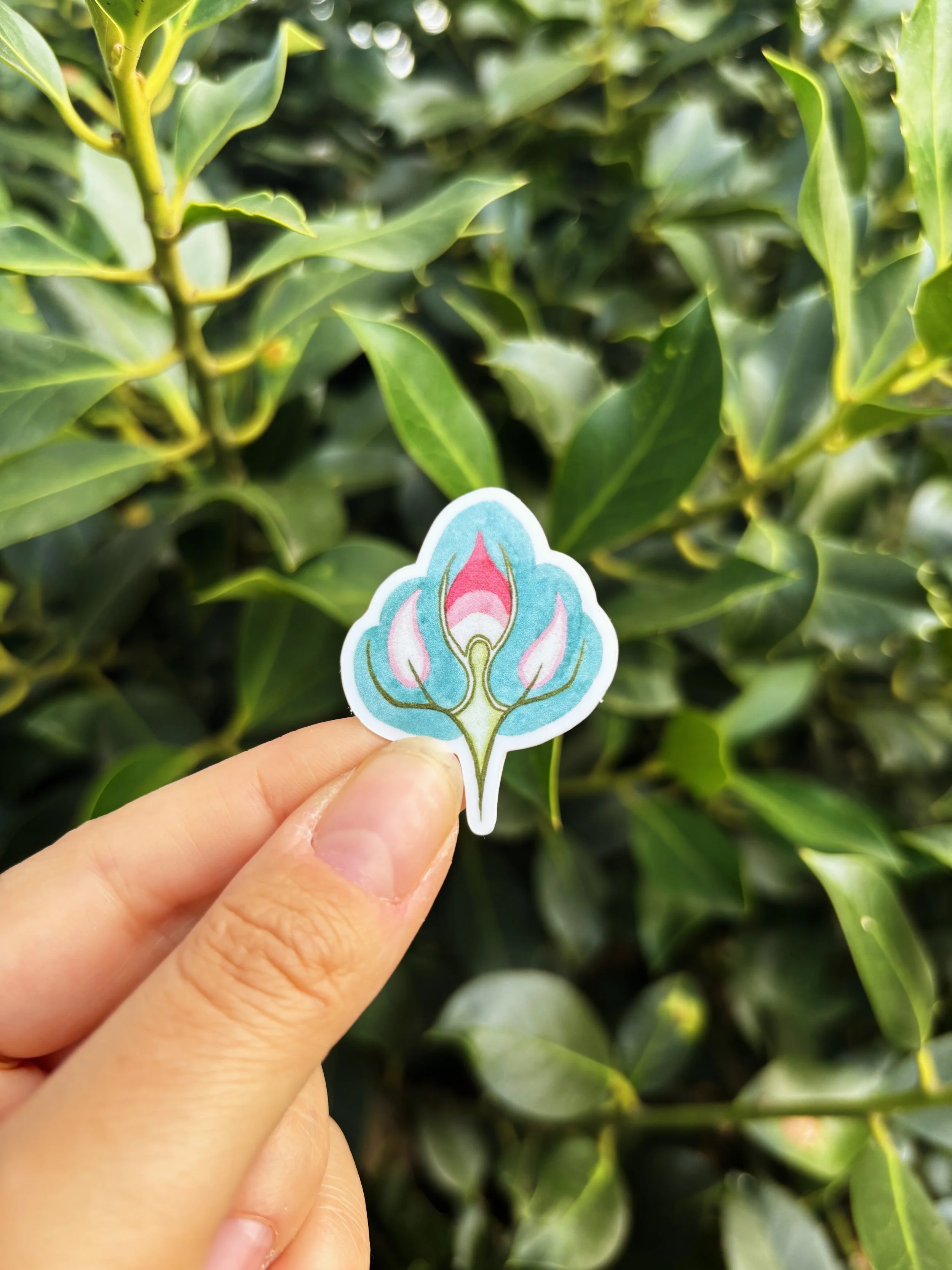Bits and Buds (Shop 1).jpg