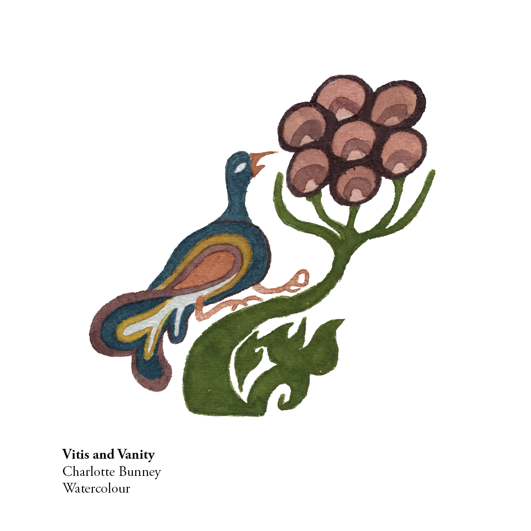 Vitis and Vanity (Shop 2).png