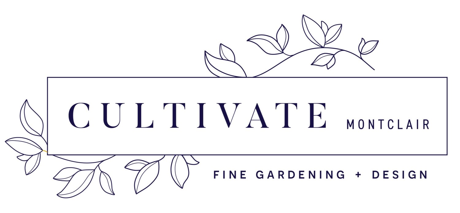 CULTIVATE MONTCLAIR