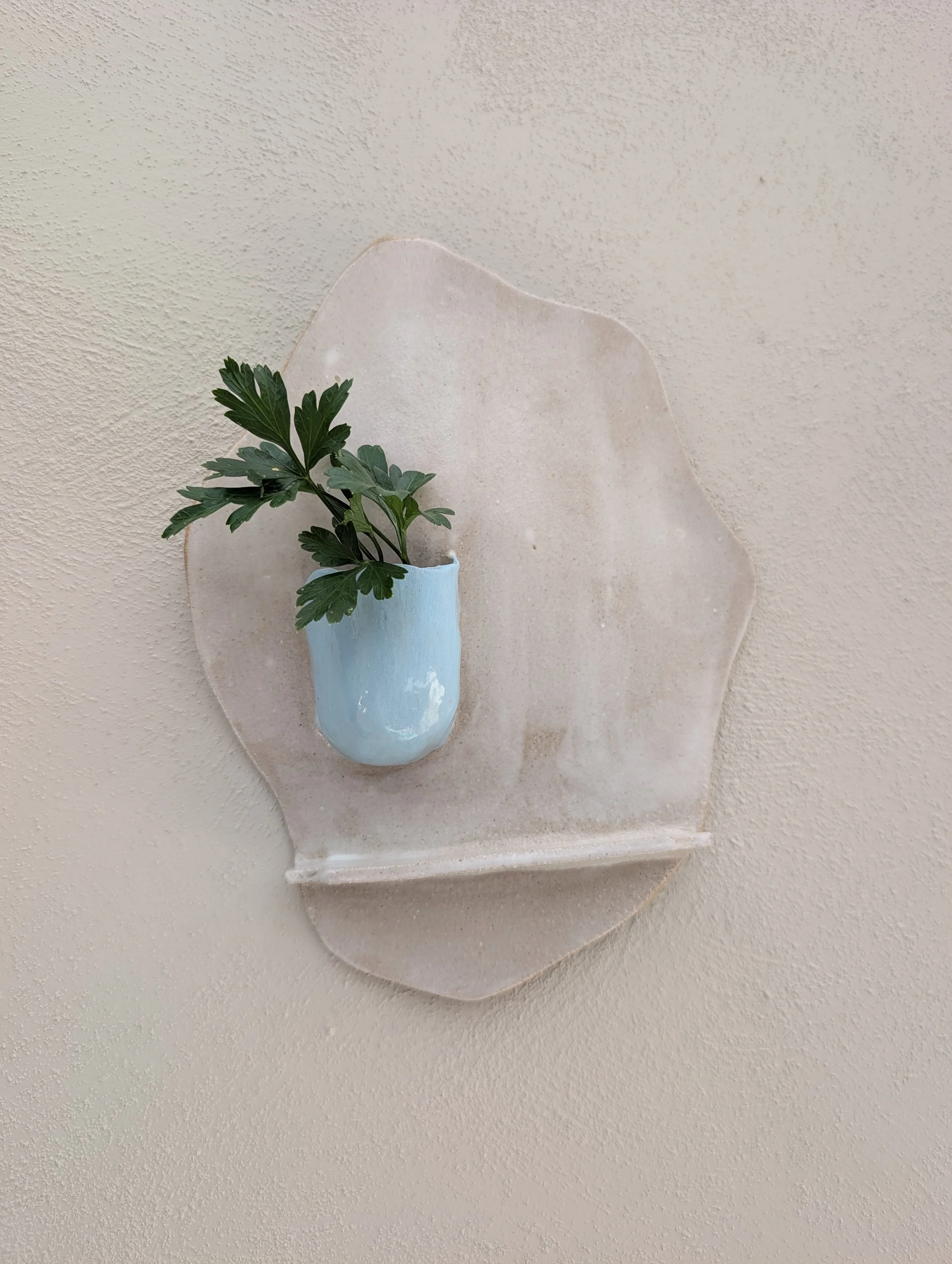 Wall Planter