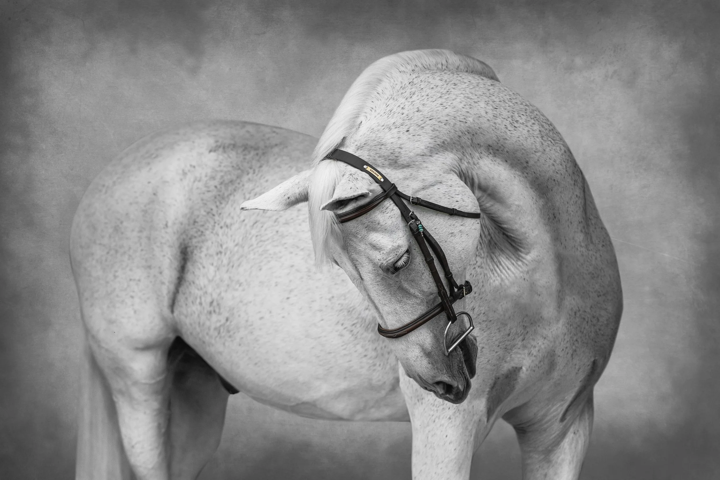 Black Background/Art Portraits