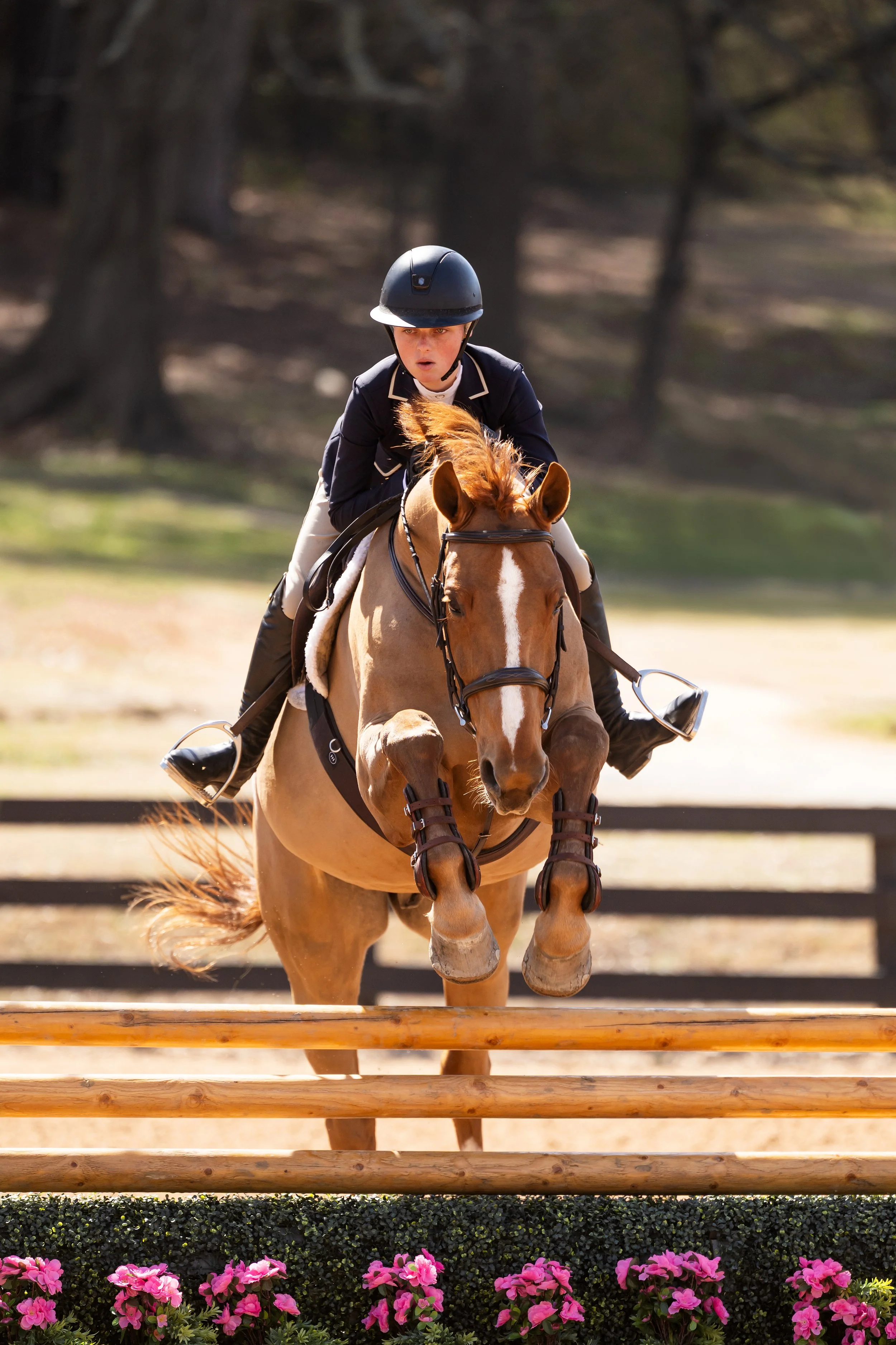 CEW_4096-Edit.jpg