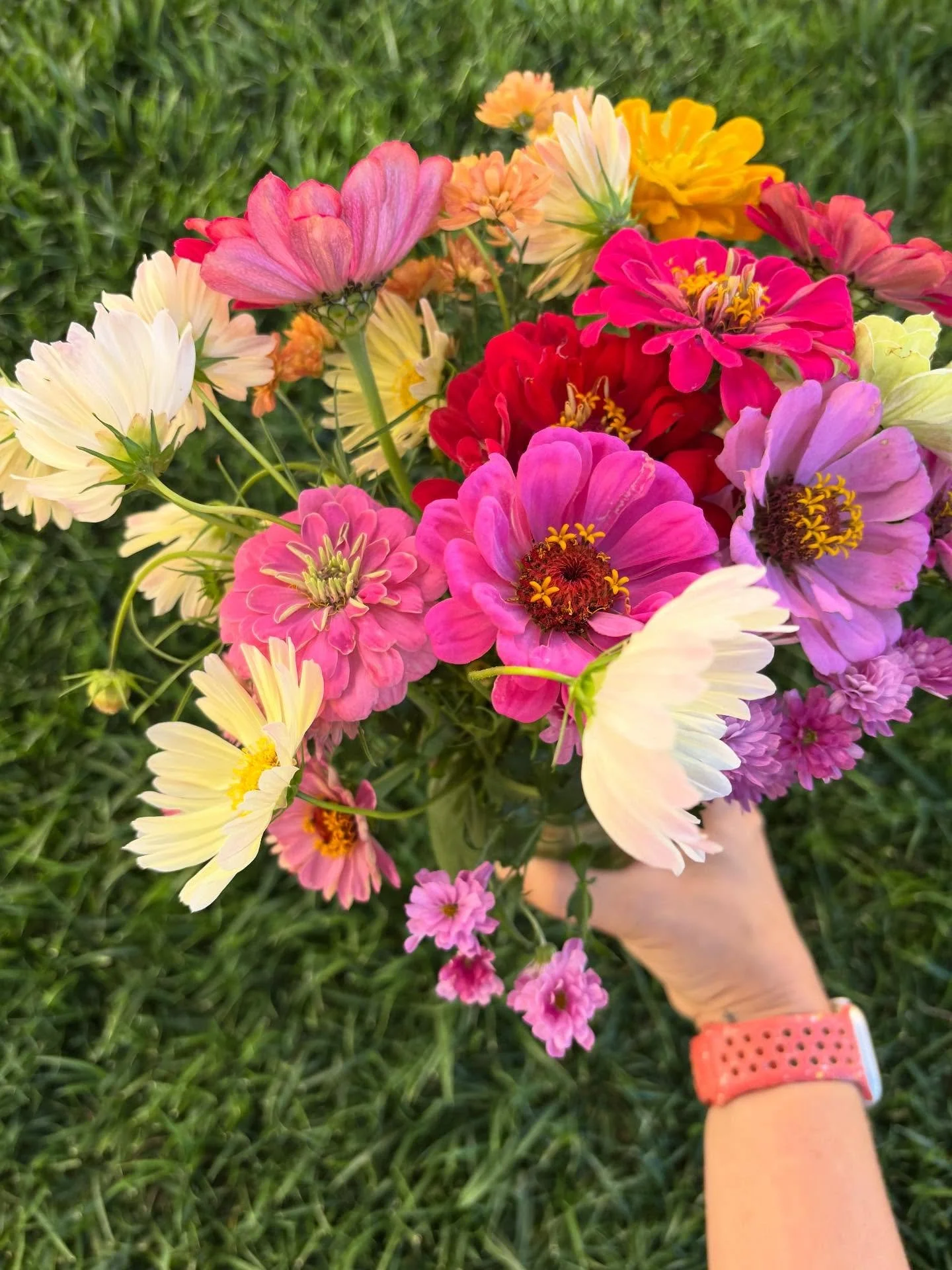 I keep thinking I&rsquo;m building the last bouquet of the summer and then we get a few more sunny days and a few more flowers bloom. So maybe tonight&rsquo;s was the last, maybe not. But I&rsquo;m savoring all of these last sunny days before the rai