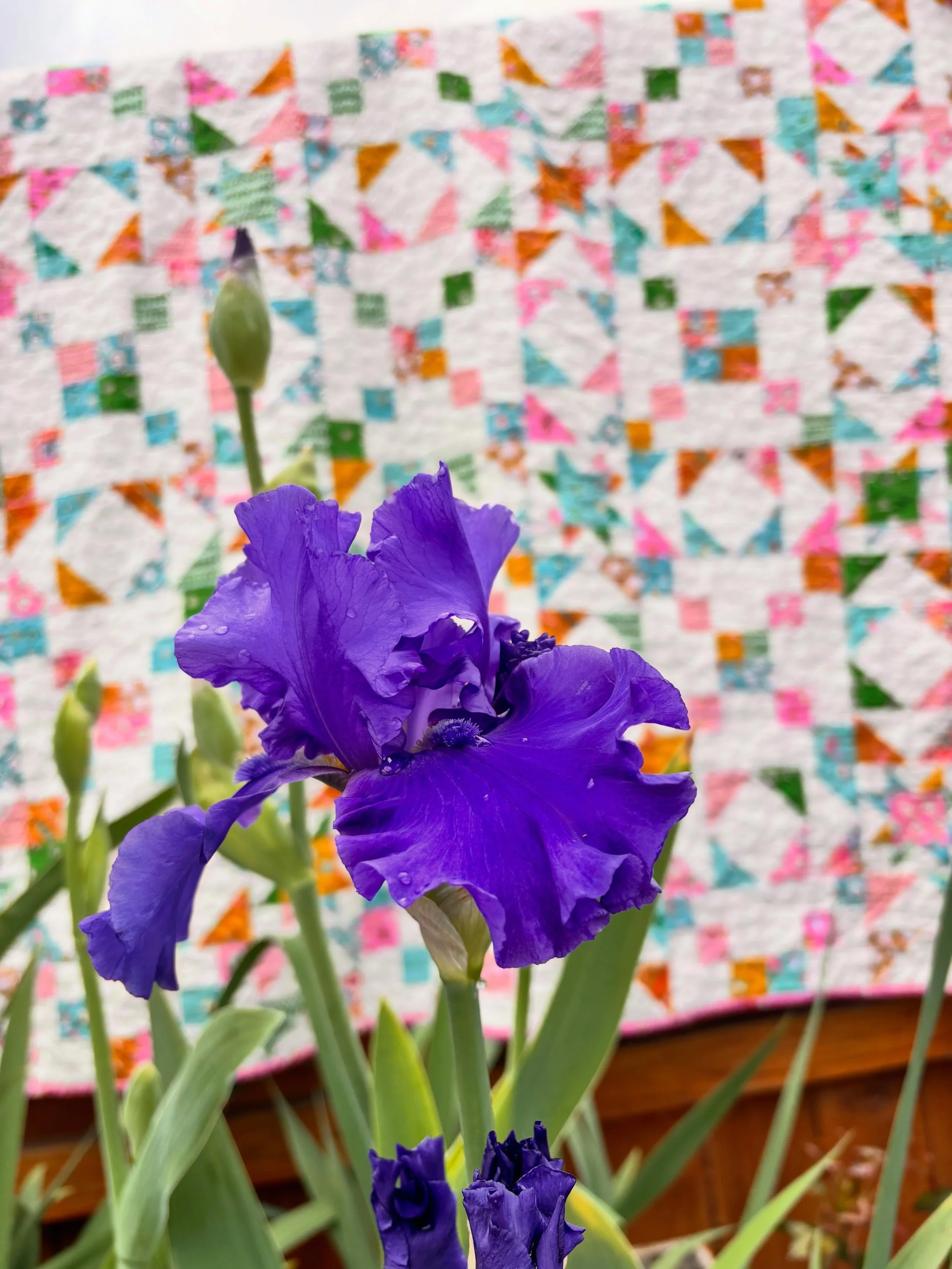 shine so bright a fat quarter friendly quilt pattern.