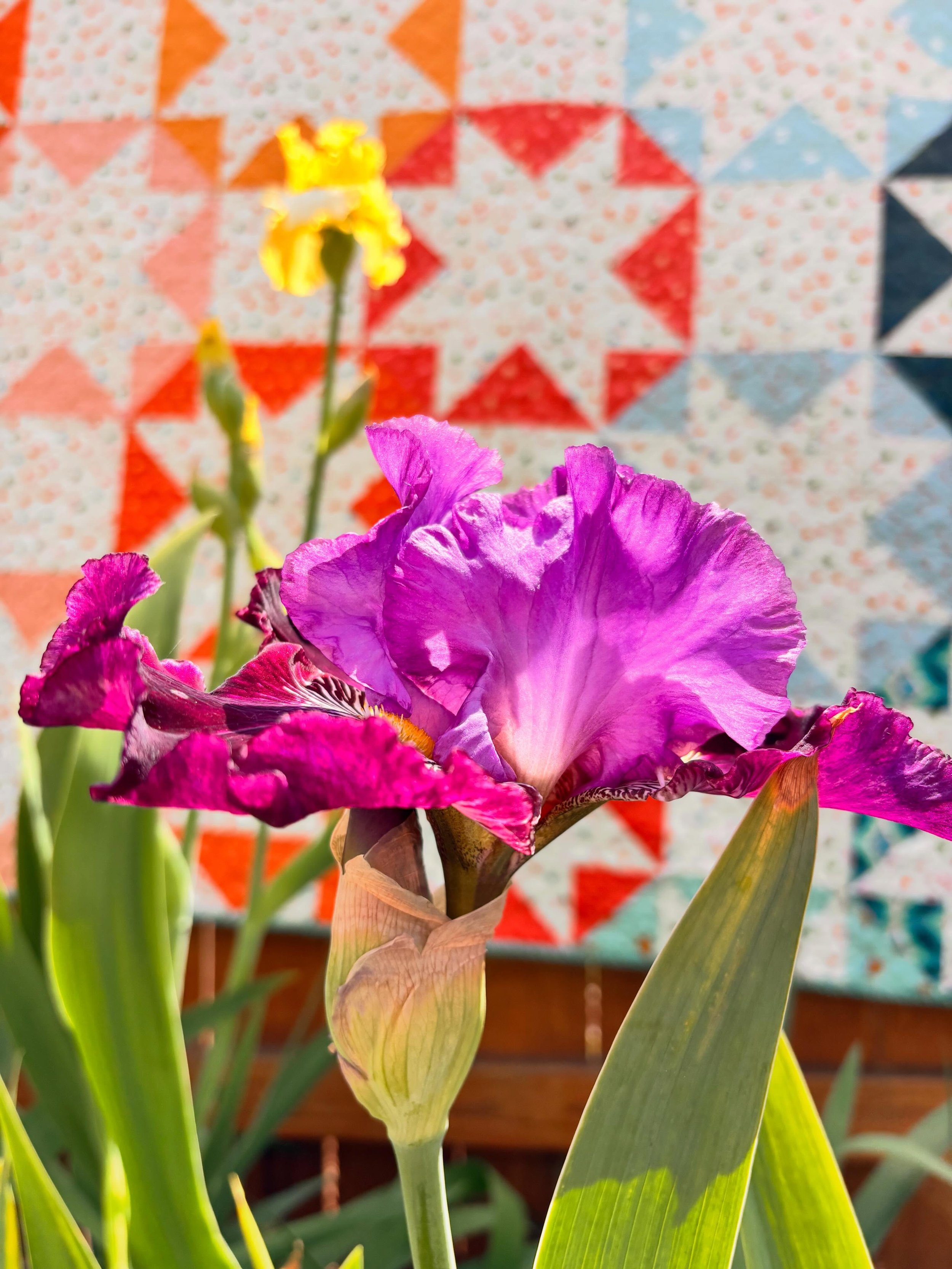 my favorite season - when the garden comes alive again - when the days aren&rsquo;t too warm - when the sunshine appears - when you can smell the flowers blooming💛. 

Quilt Pattern: Go and Make