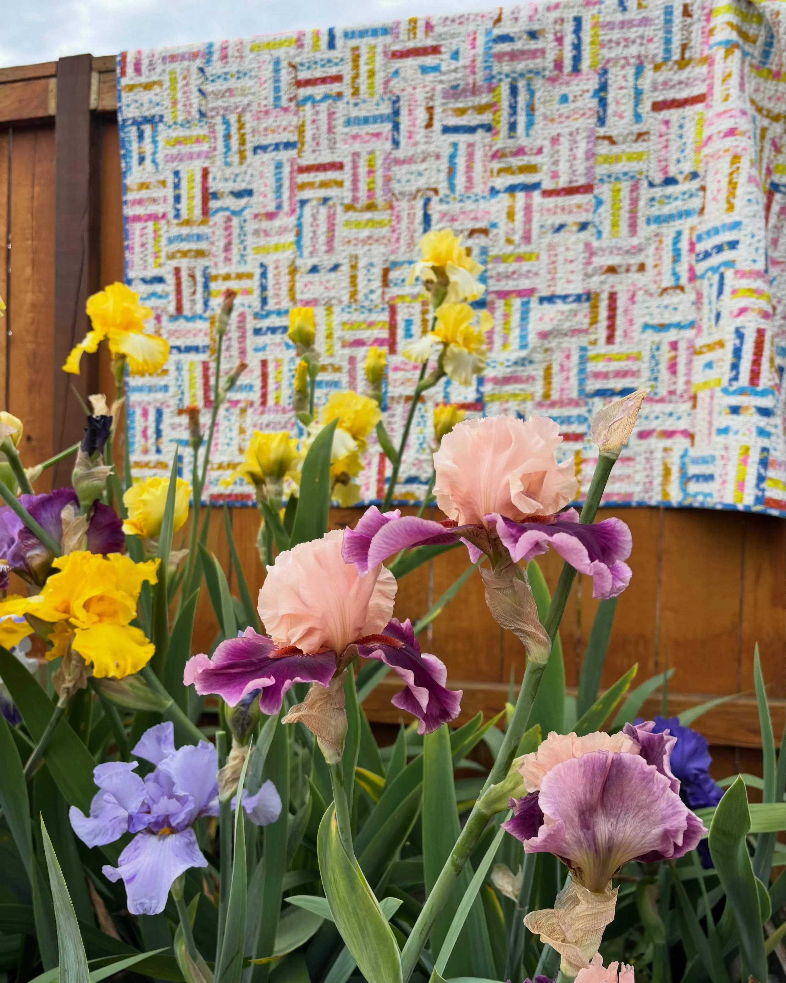 joyful stripes.
