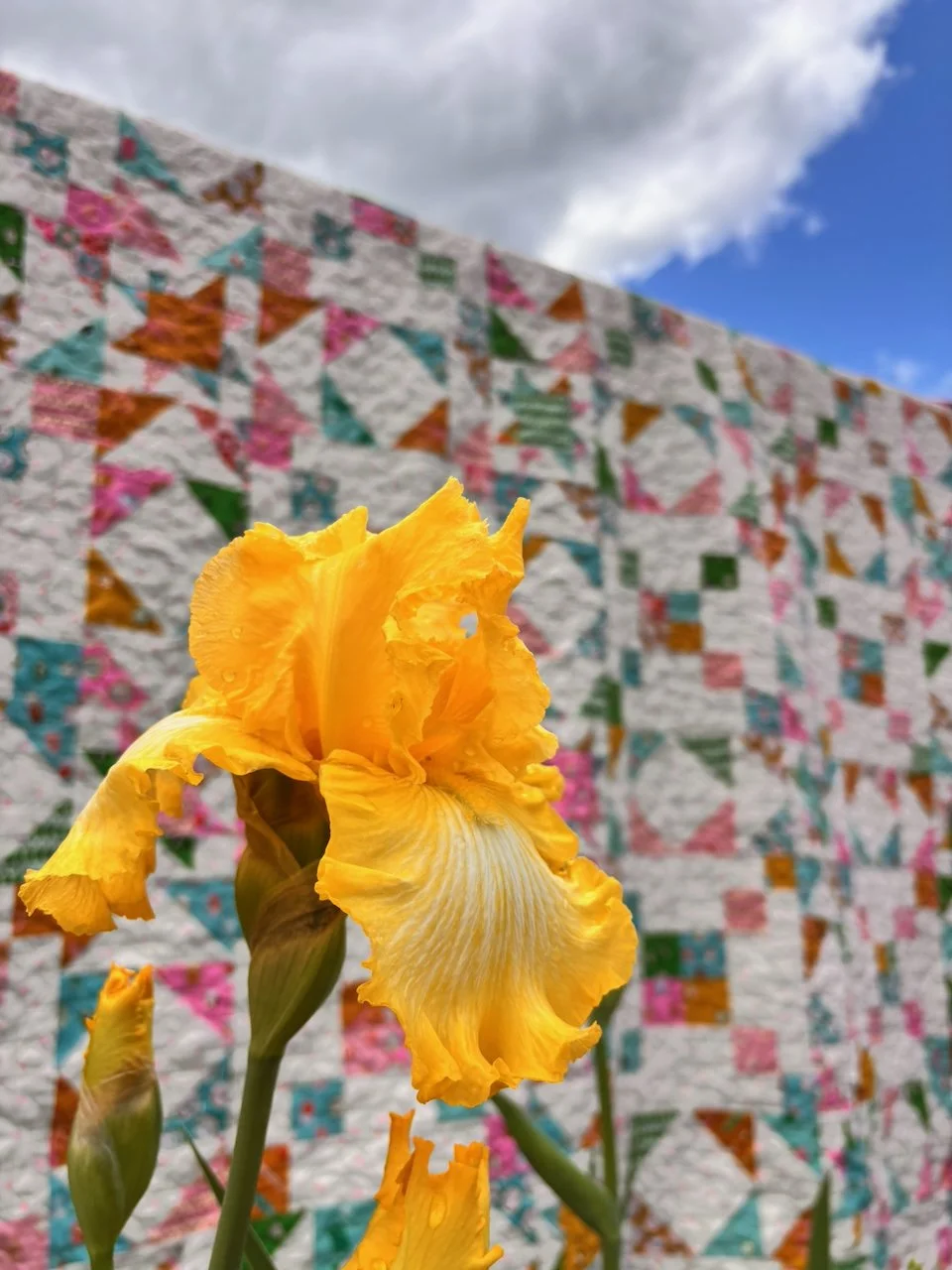 Shine So Bright Quilt Pattern by Allison Ramsing - Ruby Star Soceity Trinketry - Ruby Star Society 1-800 Notion - Fat Quarter Pattern - 6 Fat Quarter Pattern - 9 Fat Quarter Pattern - 12 Fat Quarter Pattern - 16 Fat Quarter Pattern - Sawtooth Star