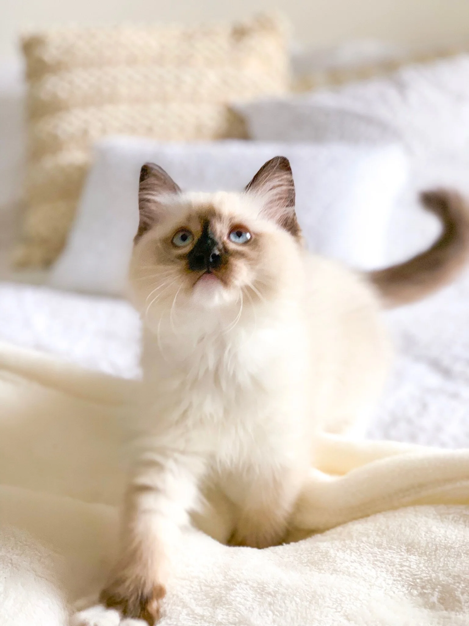 Photo courtesy of @lilaandlucy