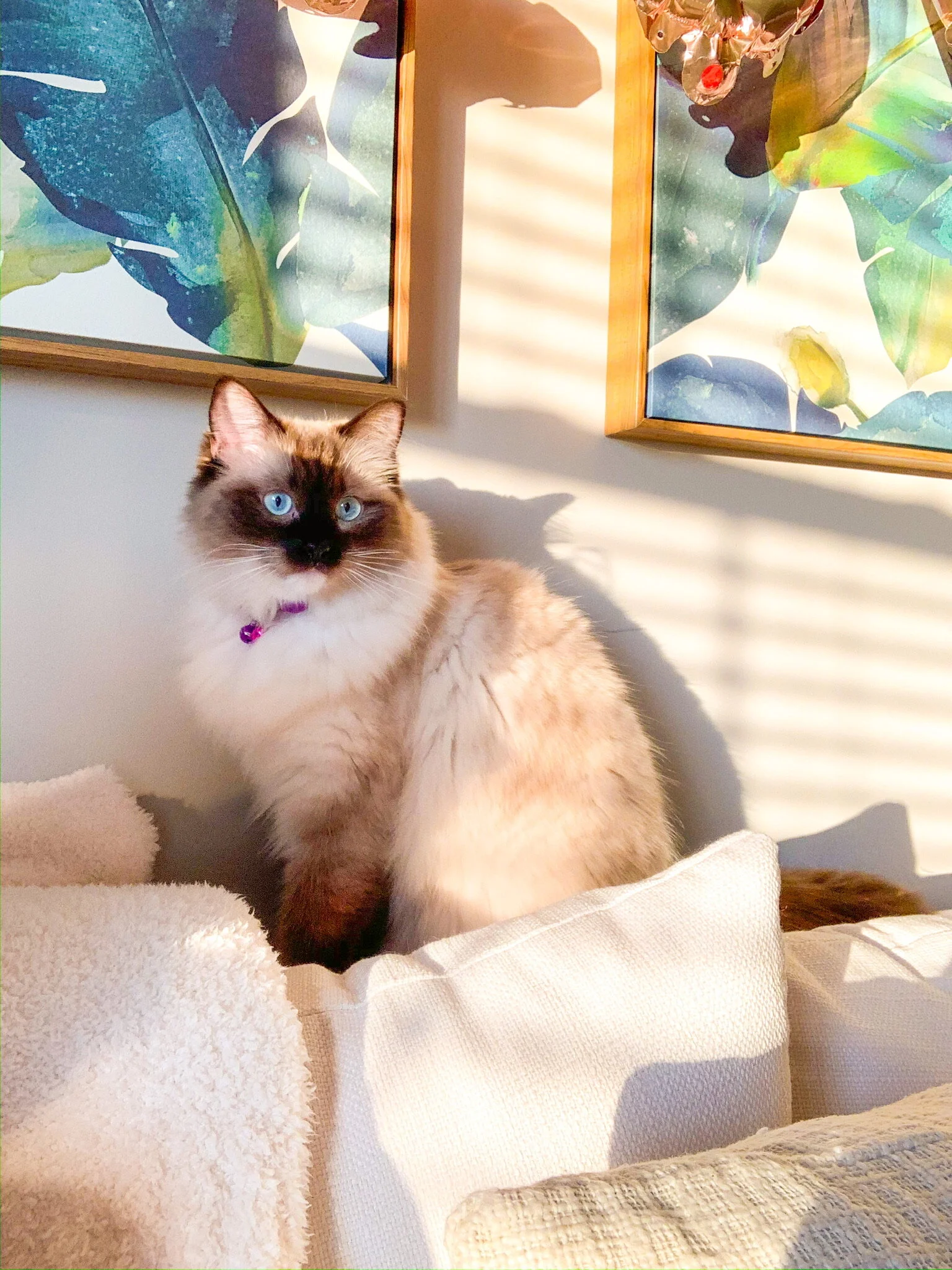 Photo courtesy of @lilaandlucy