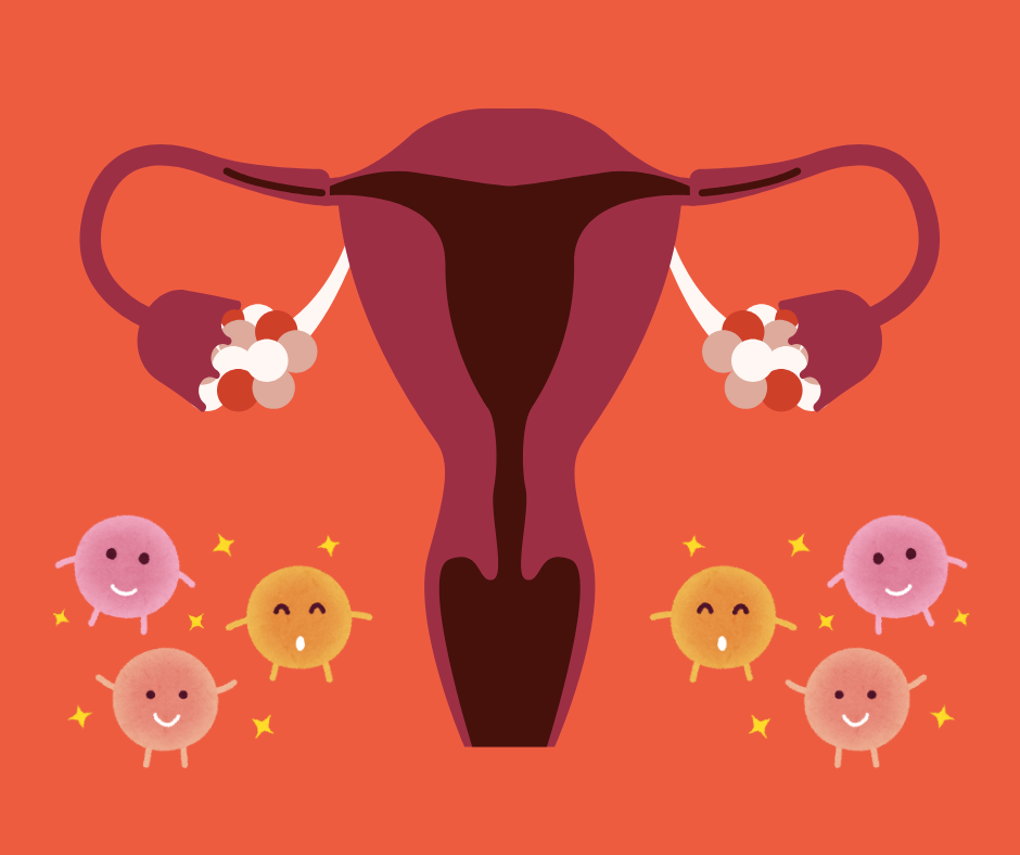 Microbiome and Fertility: How Gut and Uterine Bacteria Affect Conception, IVF, and Implantation