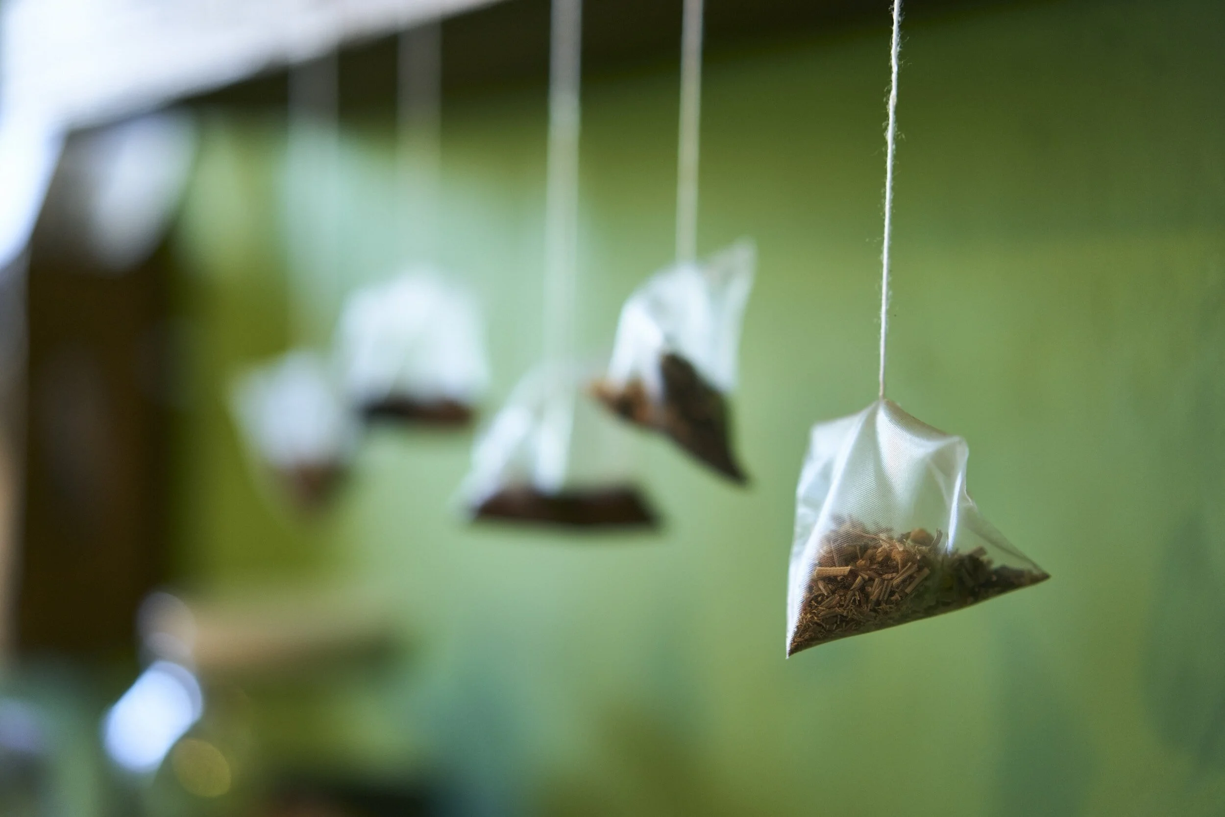 Plastic tea bags hanging in front a blurred green background