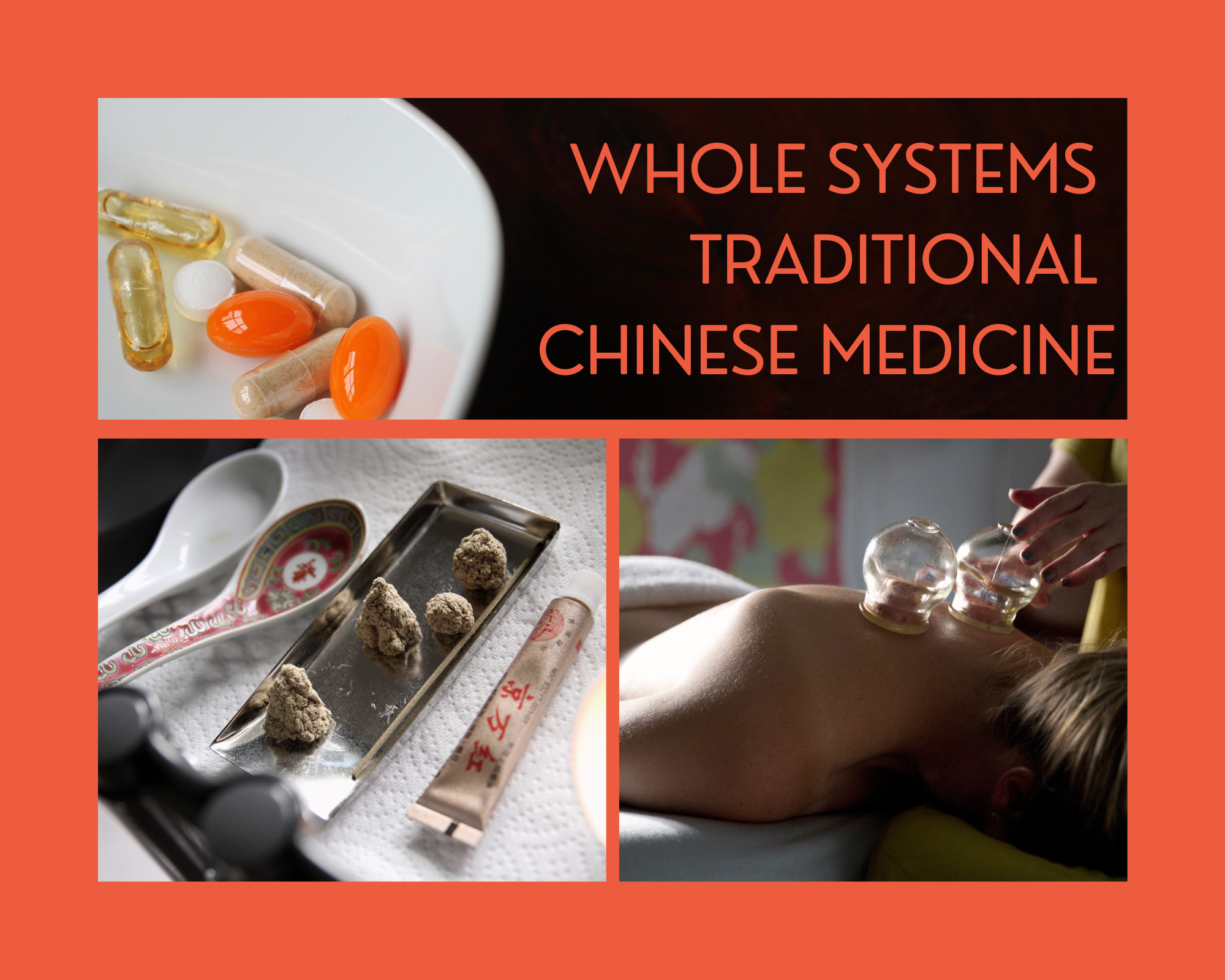 My Research: How Whole Systems Traditional Chinese Medicine Improves IVF Live Birth Rates