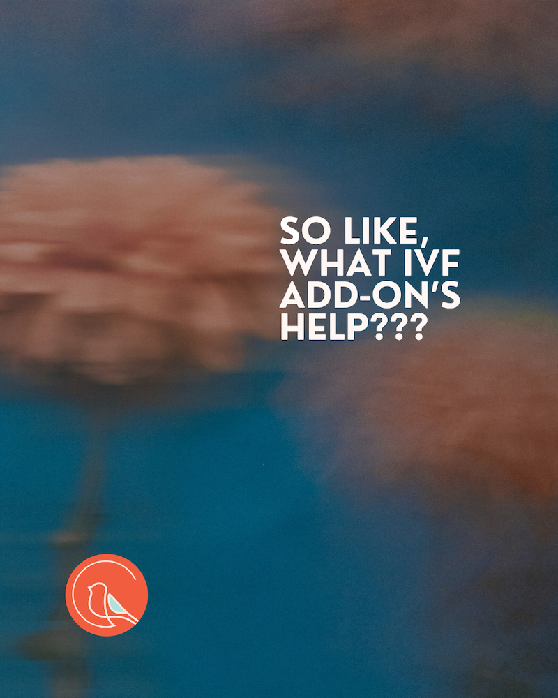 Blurred pink flowers on a blue background with the text "So like, what IVF add-on's help???" and the Rosefinch health logo in the lower left corner.