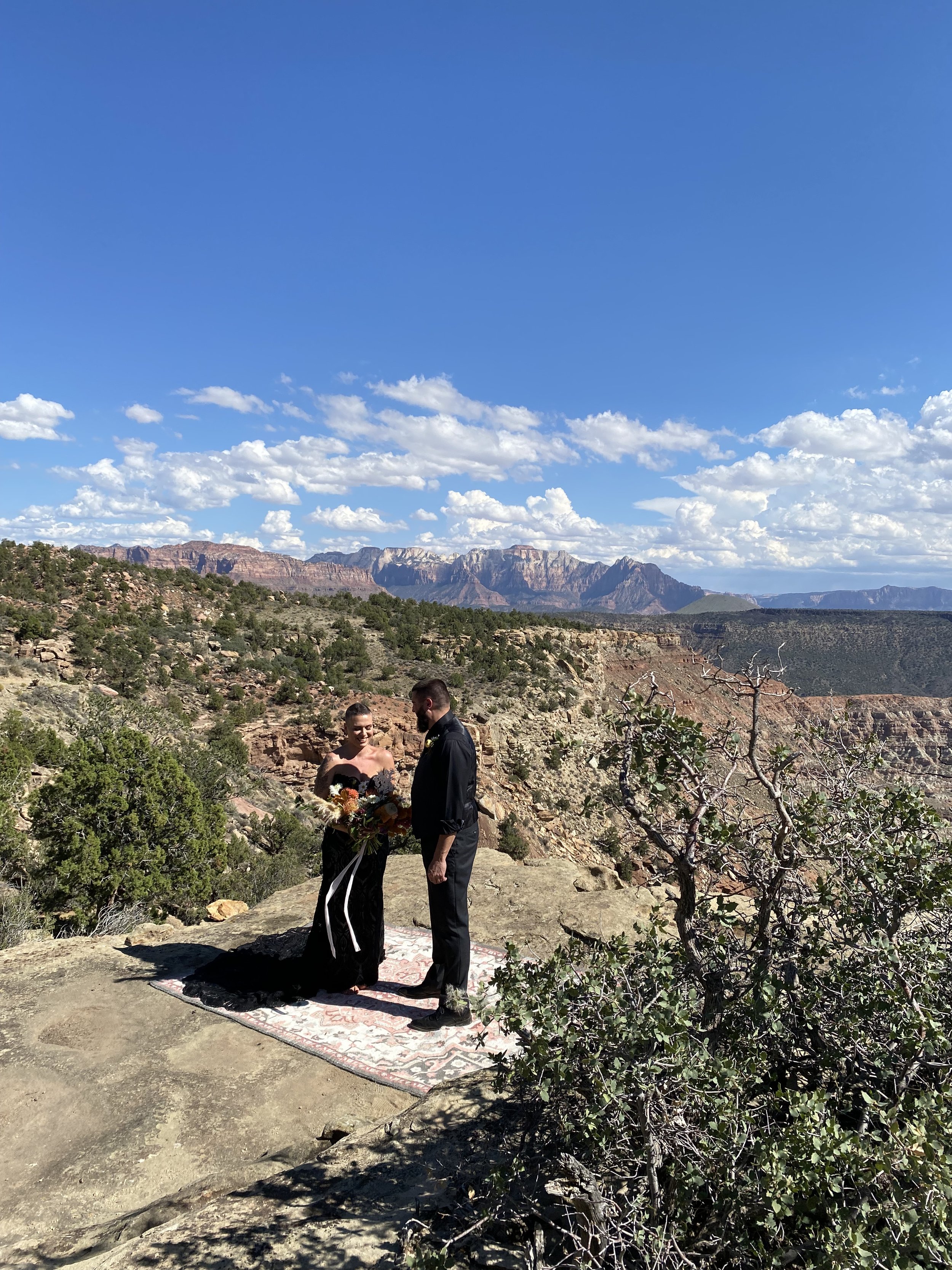 View from high mesa near Zion National Park with view of mesas