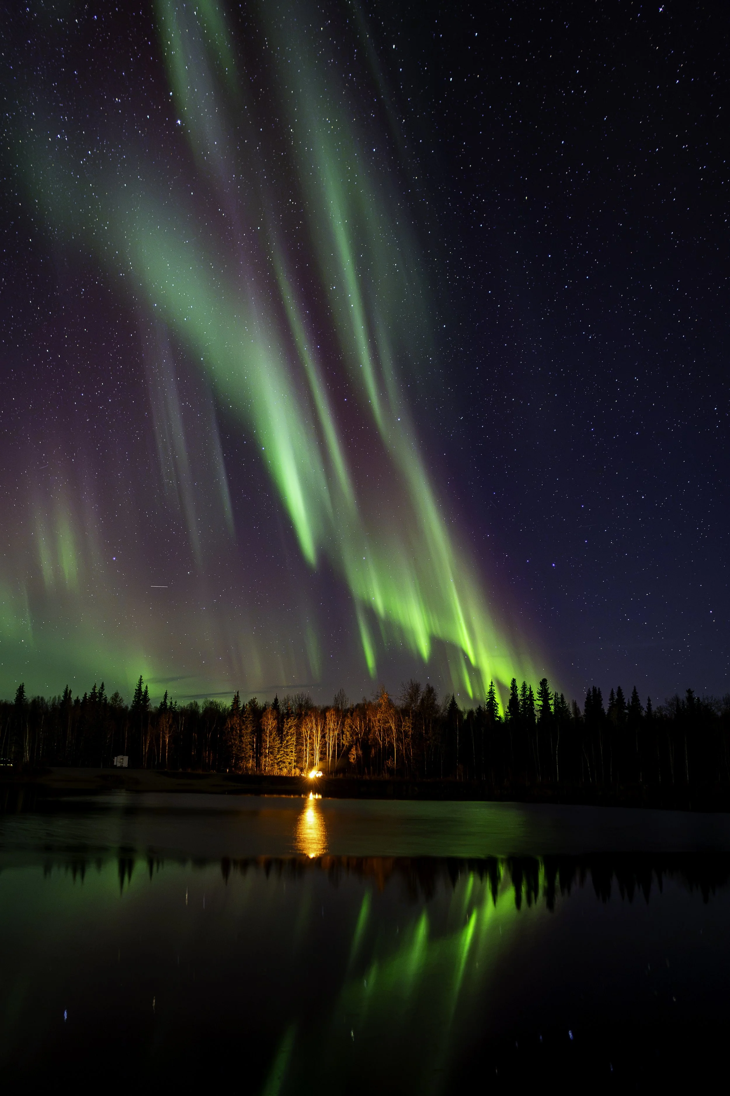 Camping Under the Lights - Fairbanks, AK