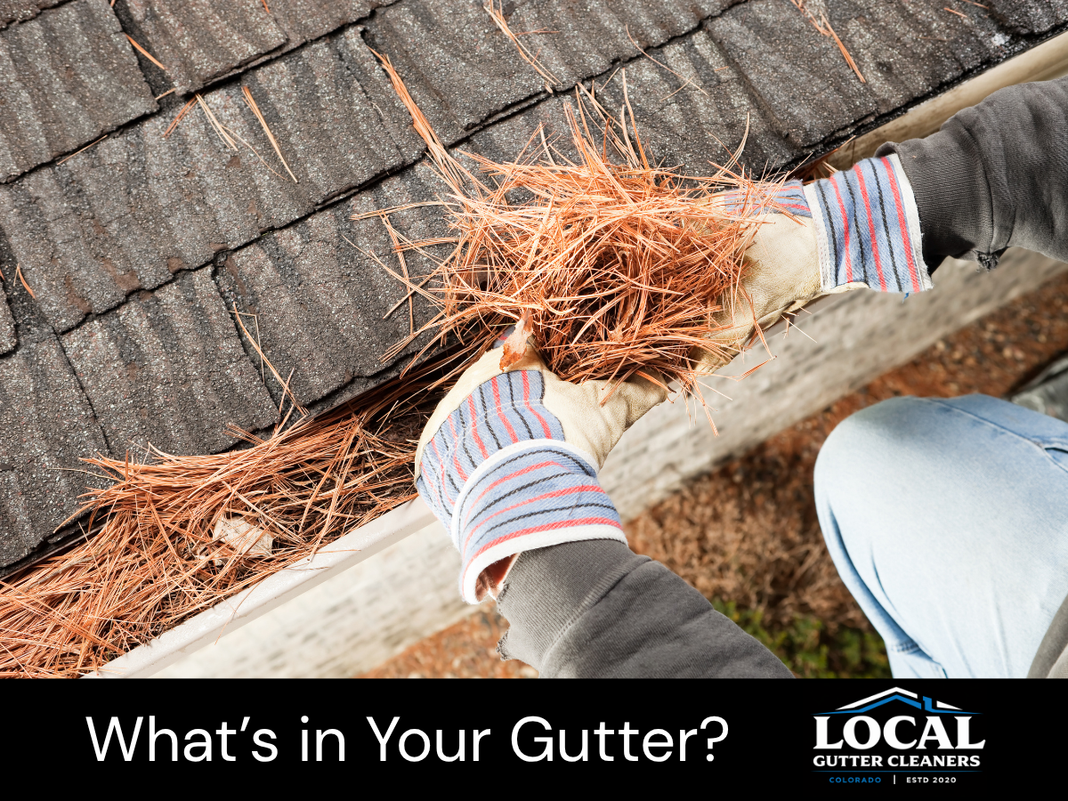The Mid-April Debris Drop: Why Spring Blossoms Are Your Gutters' Worst Enemy