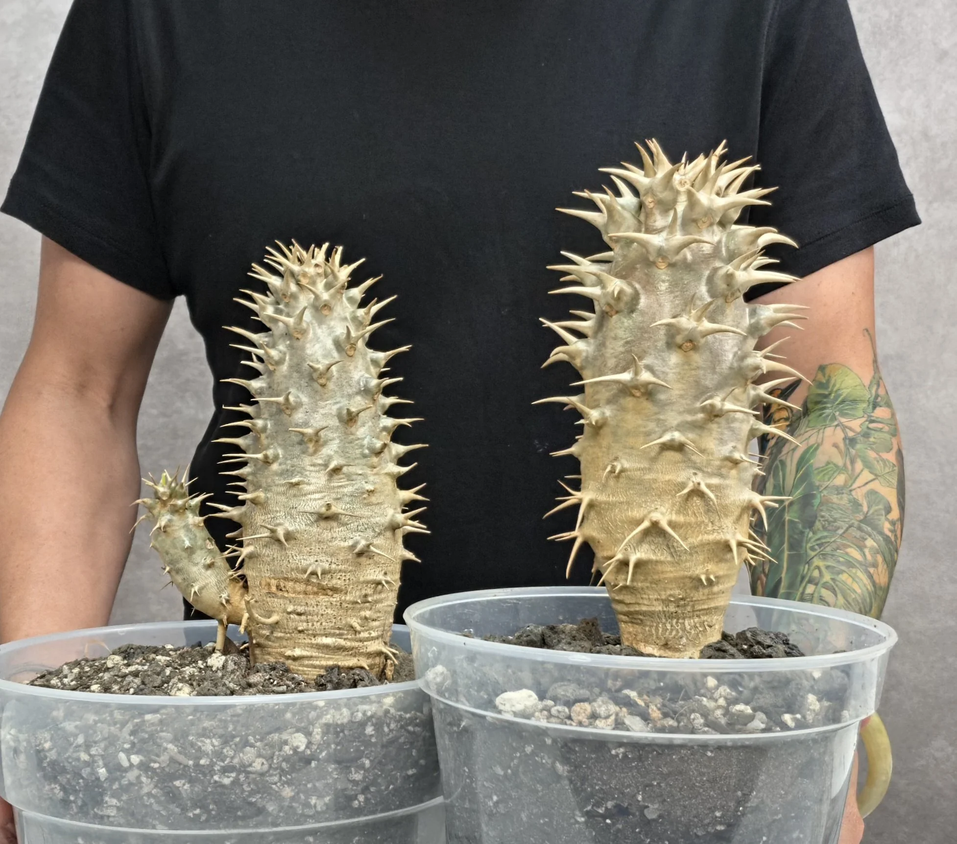 20260410_135737.jpg (Copy)