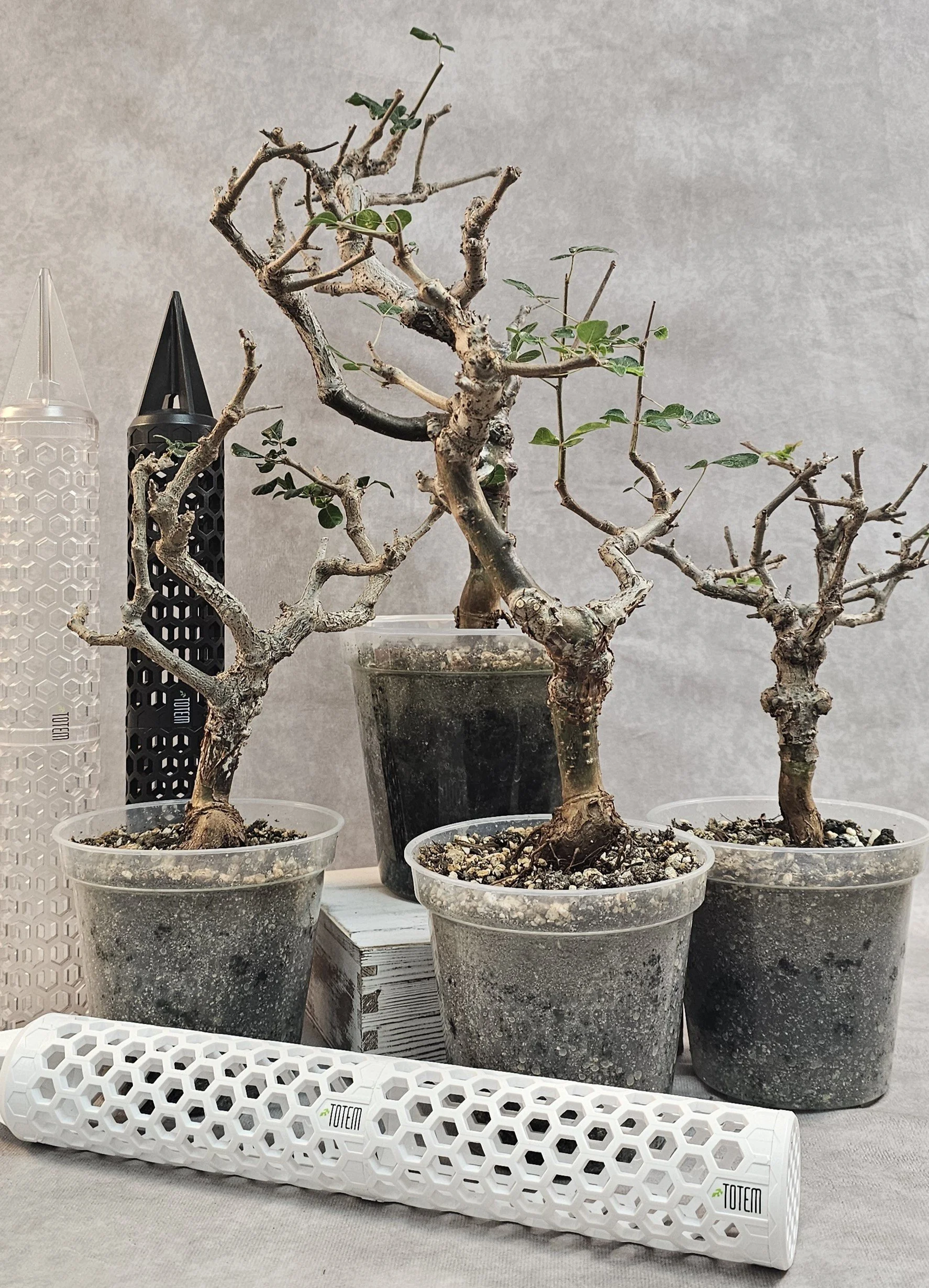 20260122_142900.jpg (Copy)