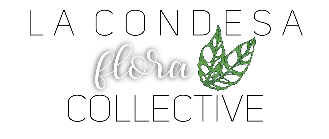 La Condesa Flora Collective 