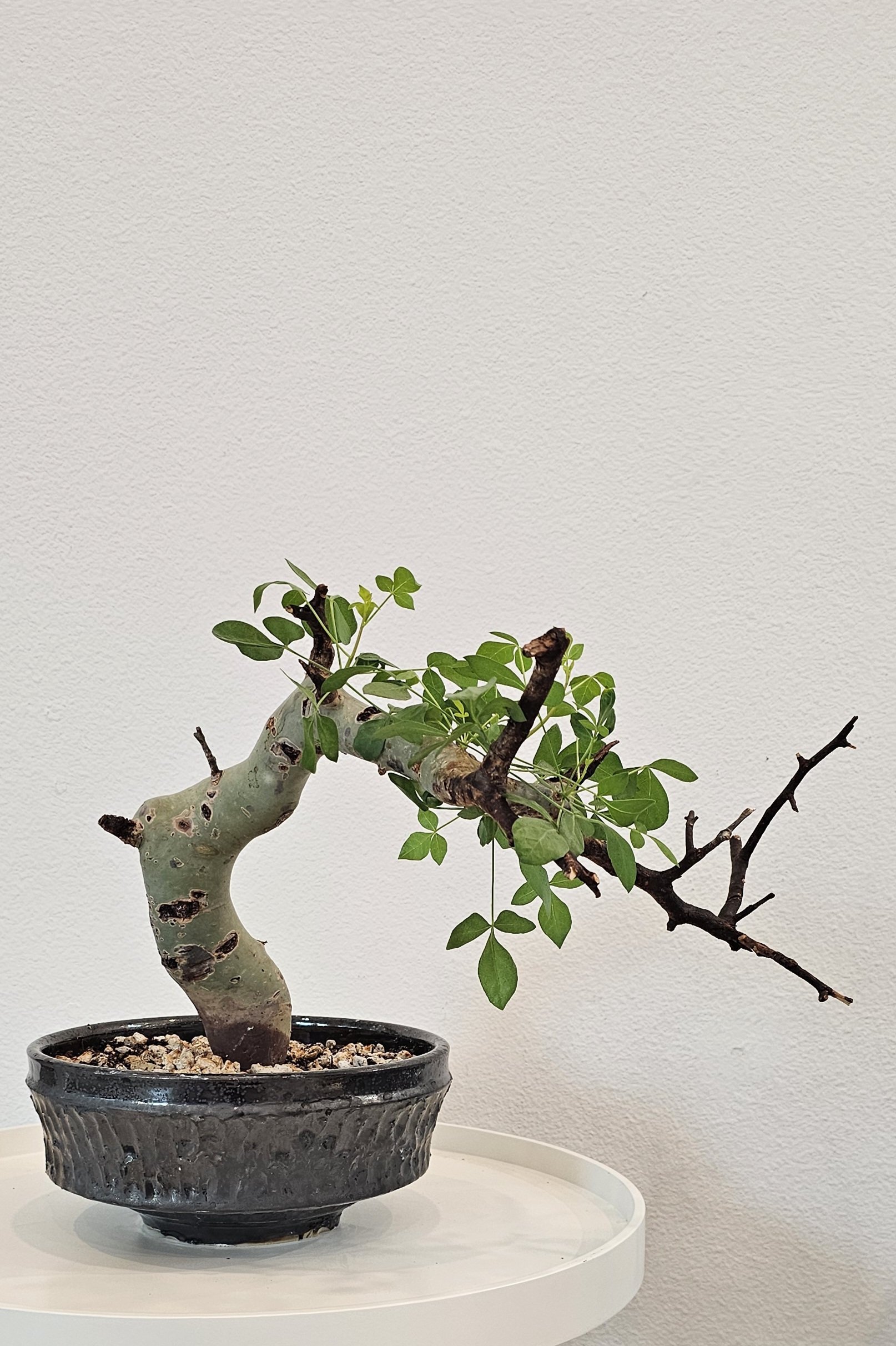 20251130_111326 (1).jpg