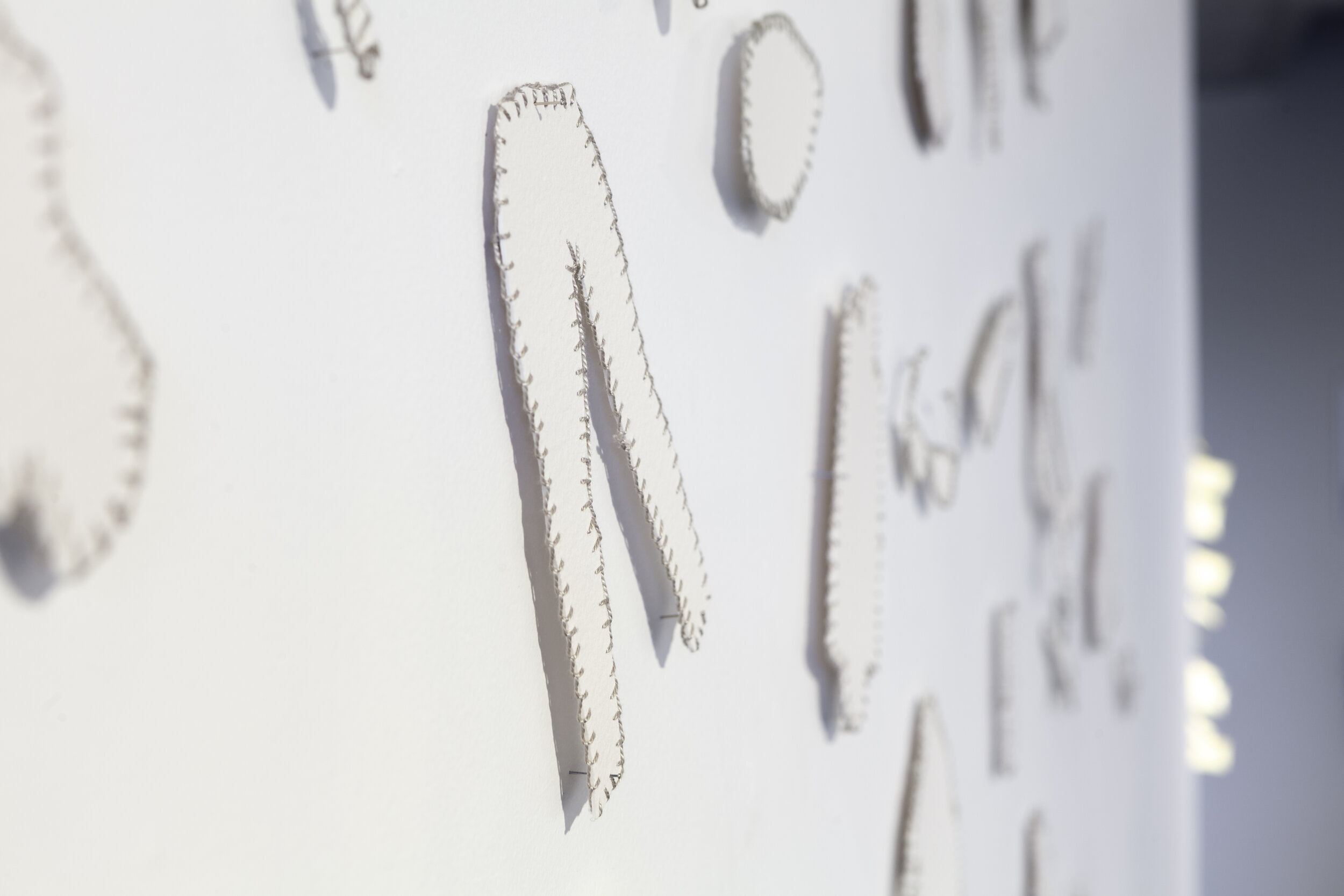 Niomi Sands, where the lost things go III, 2019, cotton, Arches paper and pins (installation view Grey Street Gallery QCA) Courtesy of the artist. Photographer Andrew Willis